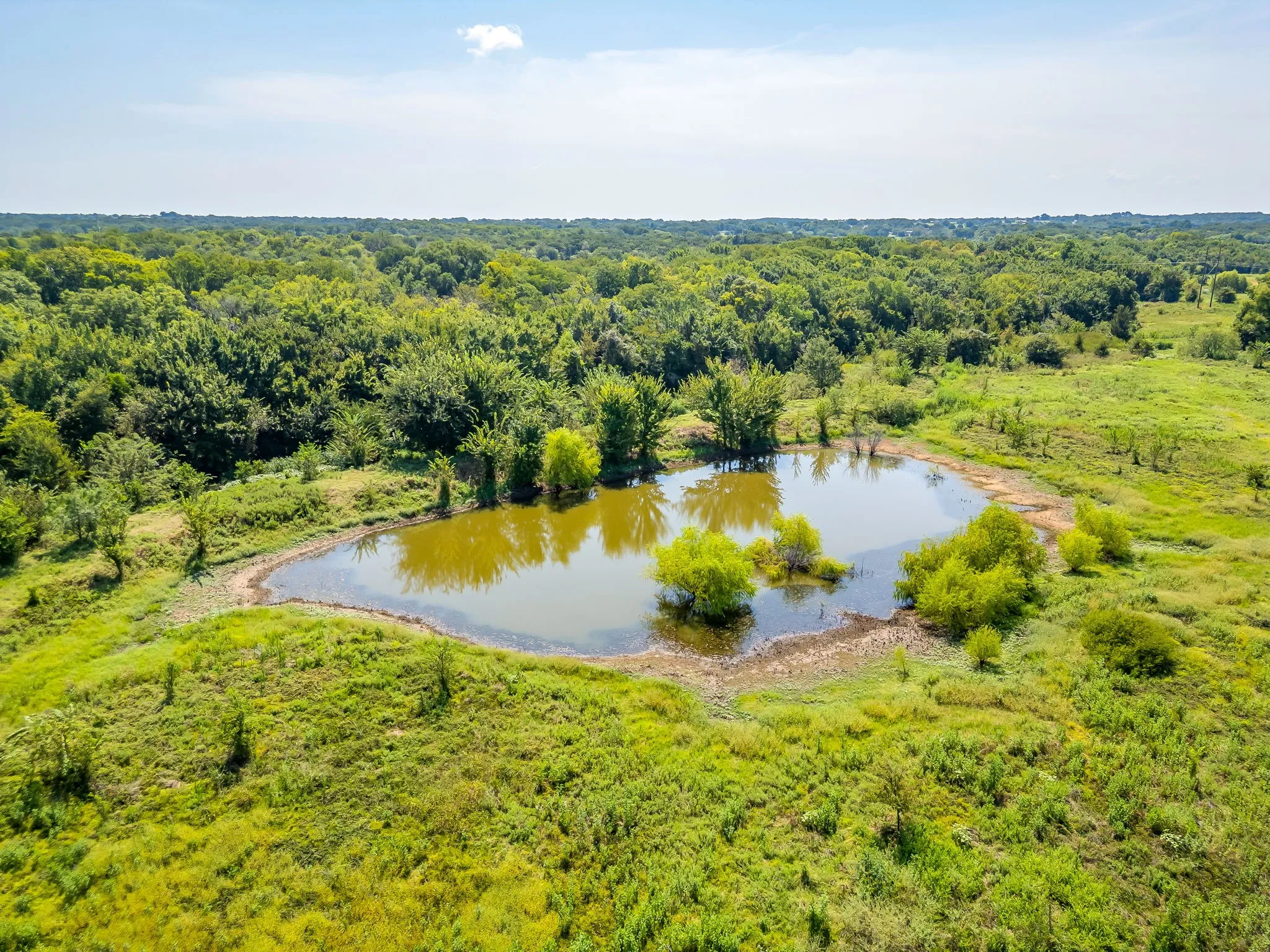 Unimproved Land For Sale in Johnson County , TBD County Road 307, Grandview, Texas 76050, 0, 0, Garage spaces, 0 Sqft, built in 0, mls#21369792, Real Estate Agent in Grandview, Homes For Sale in Johnson county, Homes For Sale in Grandview, Realtor in Grandview Texas, Real Estate Brokerage Independent Realty Texas, Luminita Cordes Realtor