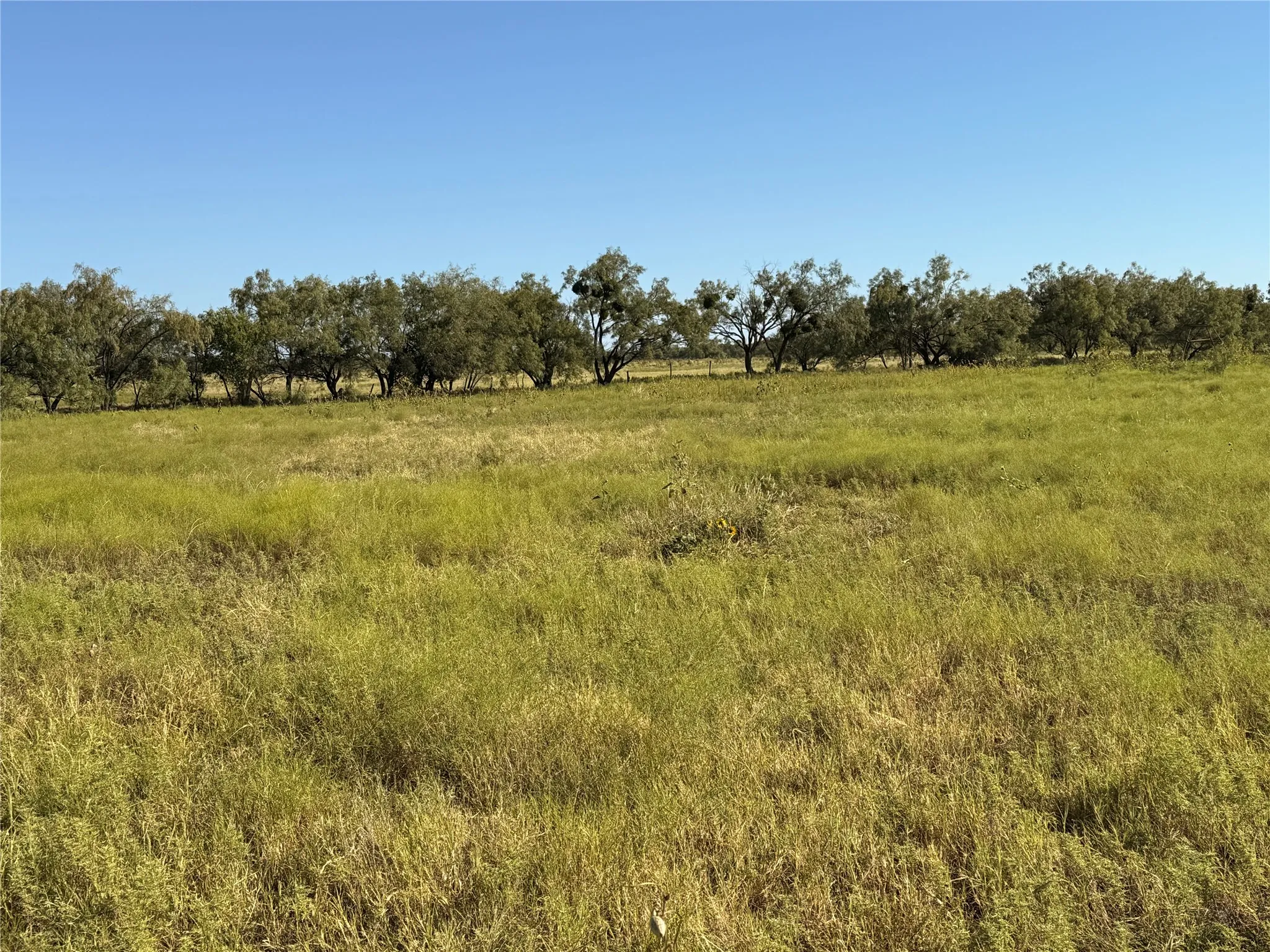 Ranch For Sale in Runnels County , TBD ST HWY 153, Wingate, Texas 79566, 0, 0, Garage spaces, 0 Sqft, built in 0, mls#21369818, Real Estate Agent in Wingate, Homes For Sale in Runnels county, Homes For Sale in Wingate, Realtor in Wingate Texas, Real Estate Brokerage Independent Realty Texas, Luminita Cordes Realtor