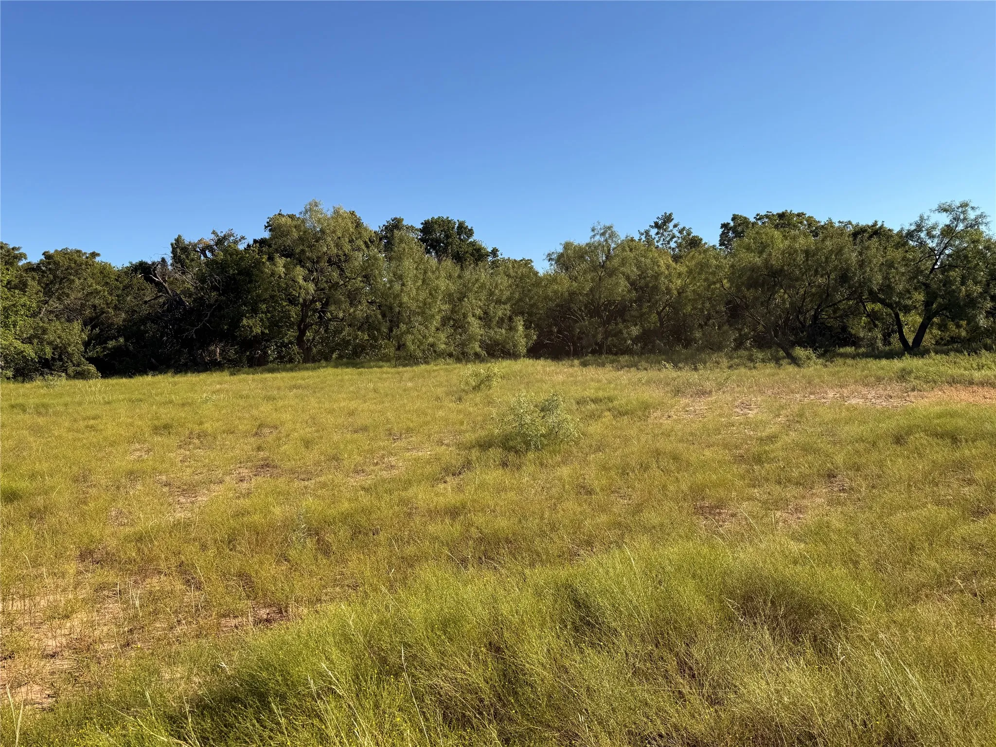 Ranch For Sale in Runnels County , TBD ST HWY 153, Wingate, Texas 79566, 0, 0, Garage spaces, 0 Sqft, built in 0, mls#21369818, Real Estate Agent in Wingate, Homes For Sale in Runnels county, Homes For Sale in Wingate, Realtor in Wingate Texas, Real Estate Brokerage Independent Realty Texas, Luminita Cordes Realtor