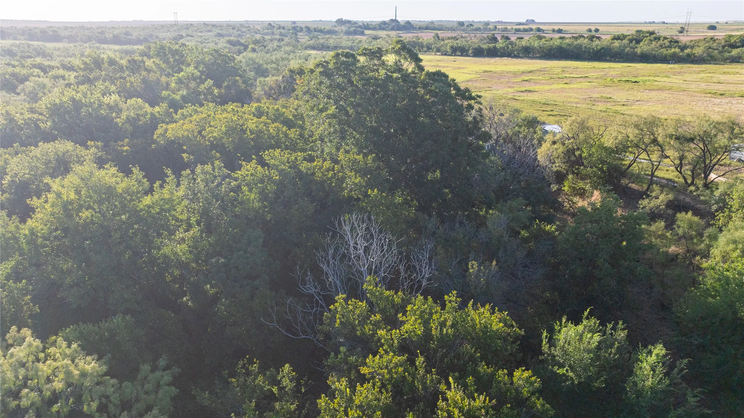 Ranch For Sale in Runnels County , TBD ST HWY 153, Wingate, Texas 79566, 0, 0, Garage spaces, 0 Sqft, built in 0, mls#21369818, Real Estate Agent in Wingate, Homes For Sale in Runnels county, Homes For Sale in Wingate, Realtor in Wingate Texas, Real Estate Brokerage Independent Realty Texas, Luminita Cordes Realtor