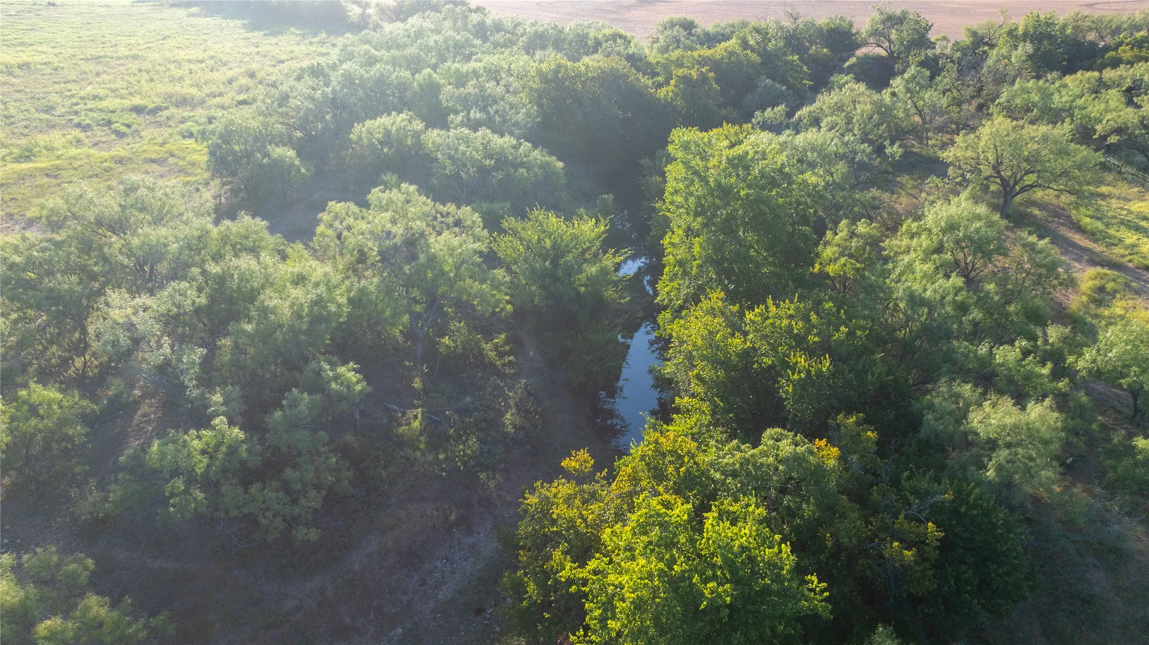 Ranch For Sale in Runnels County , TBD ST HWY 153, Wingate, Texas 79566, 0, 0, Garage spaces, 0 Sqft, built in 0, mls#21369818, Real Estate Agent in Wingate, Homes For Sale in Runnels county, Homes For Sale in Wingate, Realtor in Wingate Texas, Real Estate Brokerage Independent Realty Texas, Luminita Cordes Realtor