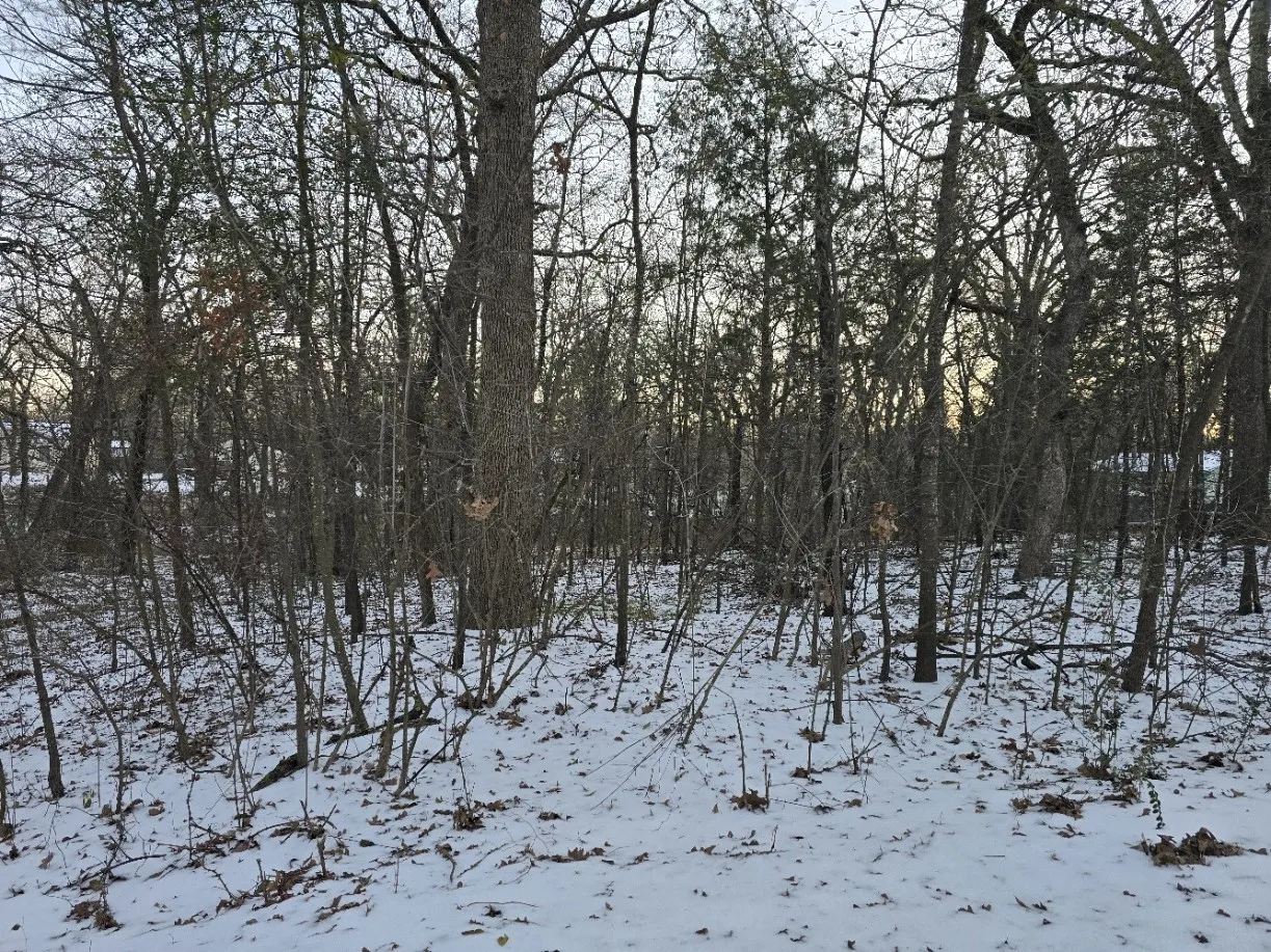 Improved Land For Sale in Henderson County , 750-754 Doe Run Road, Gun Barrel City, Texas 75156, 0, 0, Garage spaces, 0 Sqft, built in 0, mls#21369835, Real Estate Agent in Gun Barrel City, Homes For Sale in Henderson county, Homes For Sale in Gun Barrel City, Realtor in Gun Barrel City Texas, Real Estate Brokerage Independent Realty Texas, Luminita Cordes Realtor