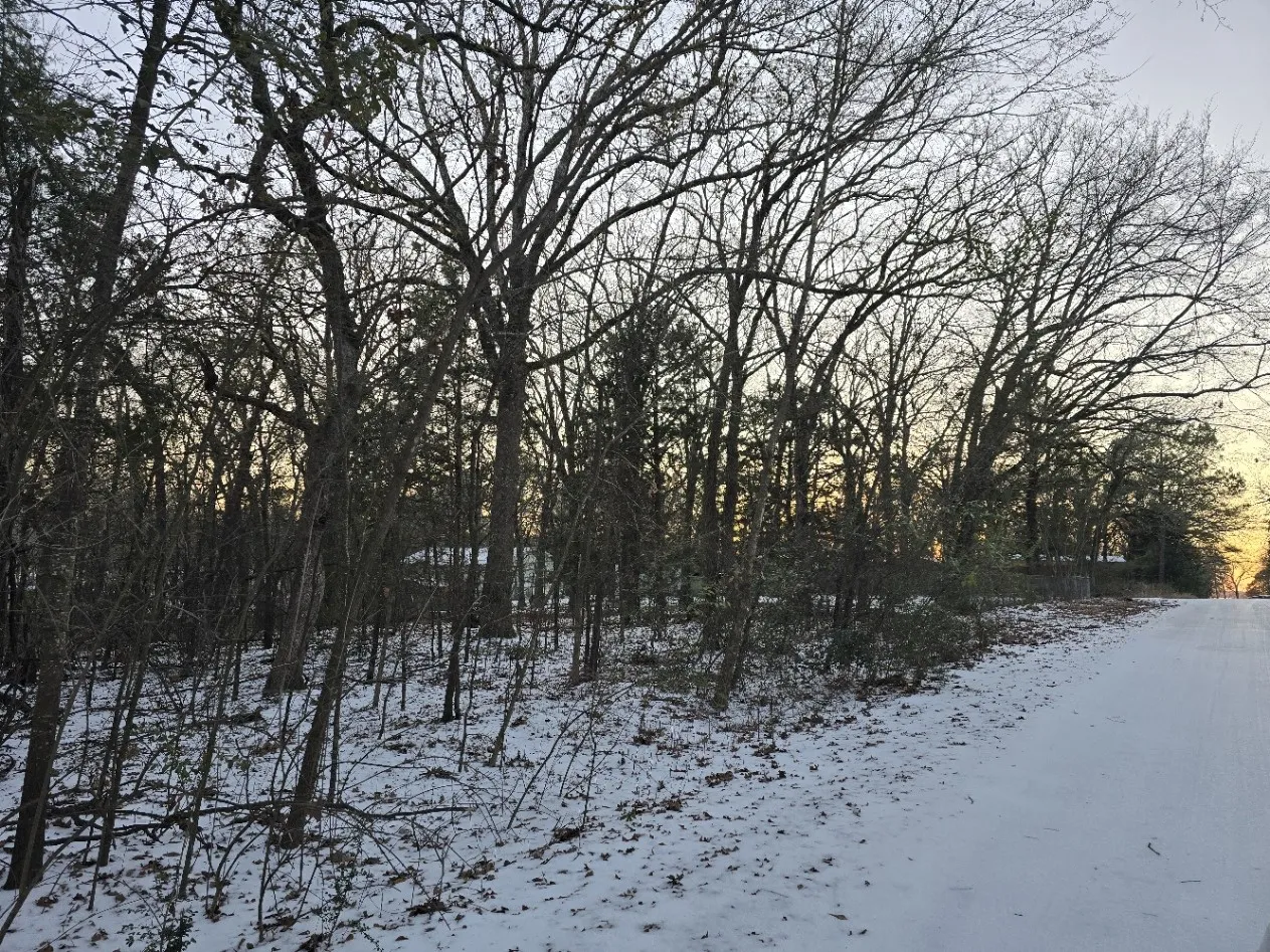 Improved Land For Sale in Henderson County , 750-754 Doe Run Road, Gun Barrel City, Texas 75156, 0, 0, Garage spaces, 0 Sqft, built in 0, mls#21369835, Real Estate Agent in Gun Barrel City, Homes For Sale in Henderson county, Homes For Sale in Gun Barrel City, Realtor in Gun Barrel City Texas, Real Estate Brokerage Independent Realty Texas, Luminita Cordes Realtor