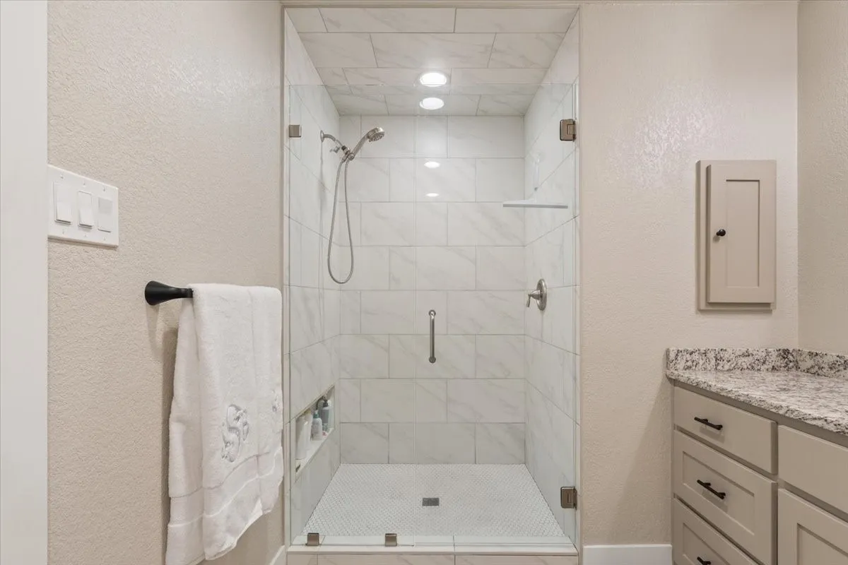 Primary Shower