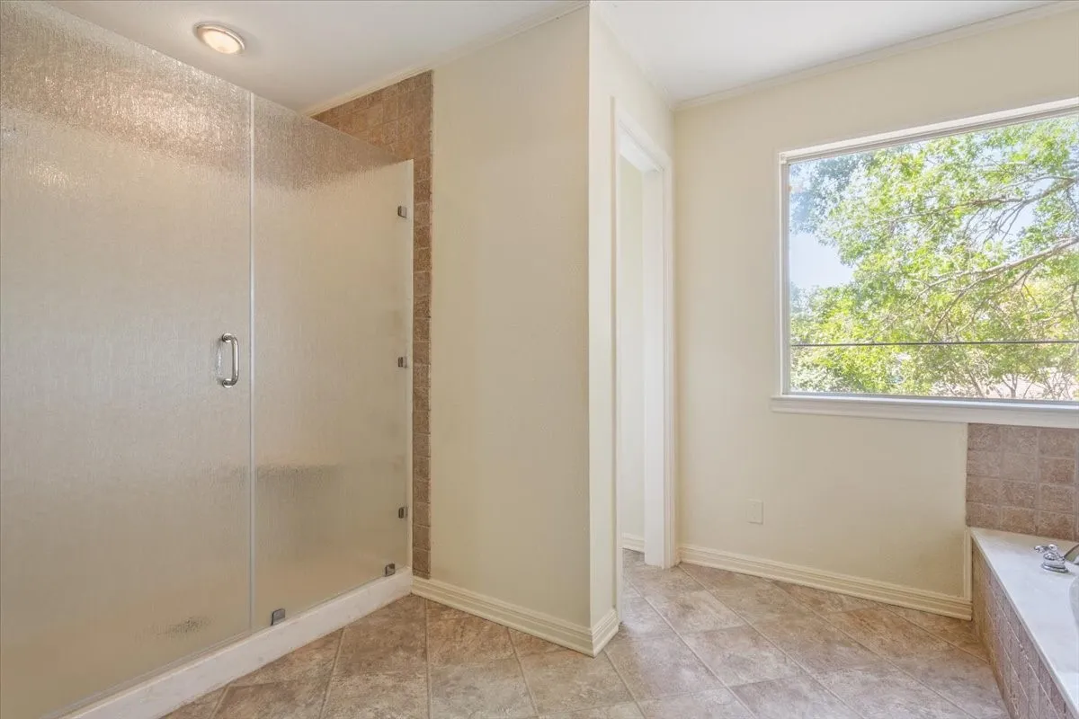 Primary Shower