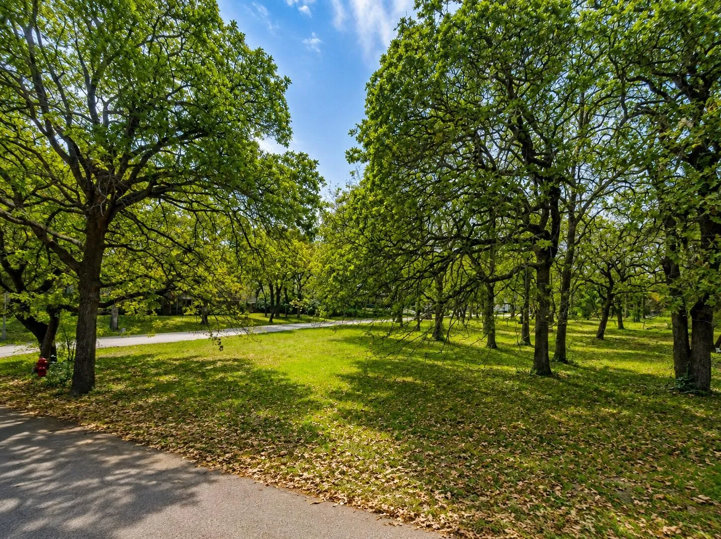 Unimproved Land For Sale in Tarrant County , 2900 Hickory Hill Street, Colleyville, Texas 76034, 0, 0, Garage spaces, 0 Sqft, built in 0, mls#21369862, Real Estate Agent in Colleyville, Homes For Sale in Tarrant county, Homes For Sale in Colleyville, Realtor in Colleyville Texas, Real Estate Brokerage Independent Realty Texas, Luminita Cordes Realtor