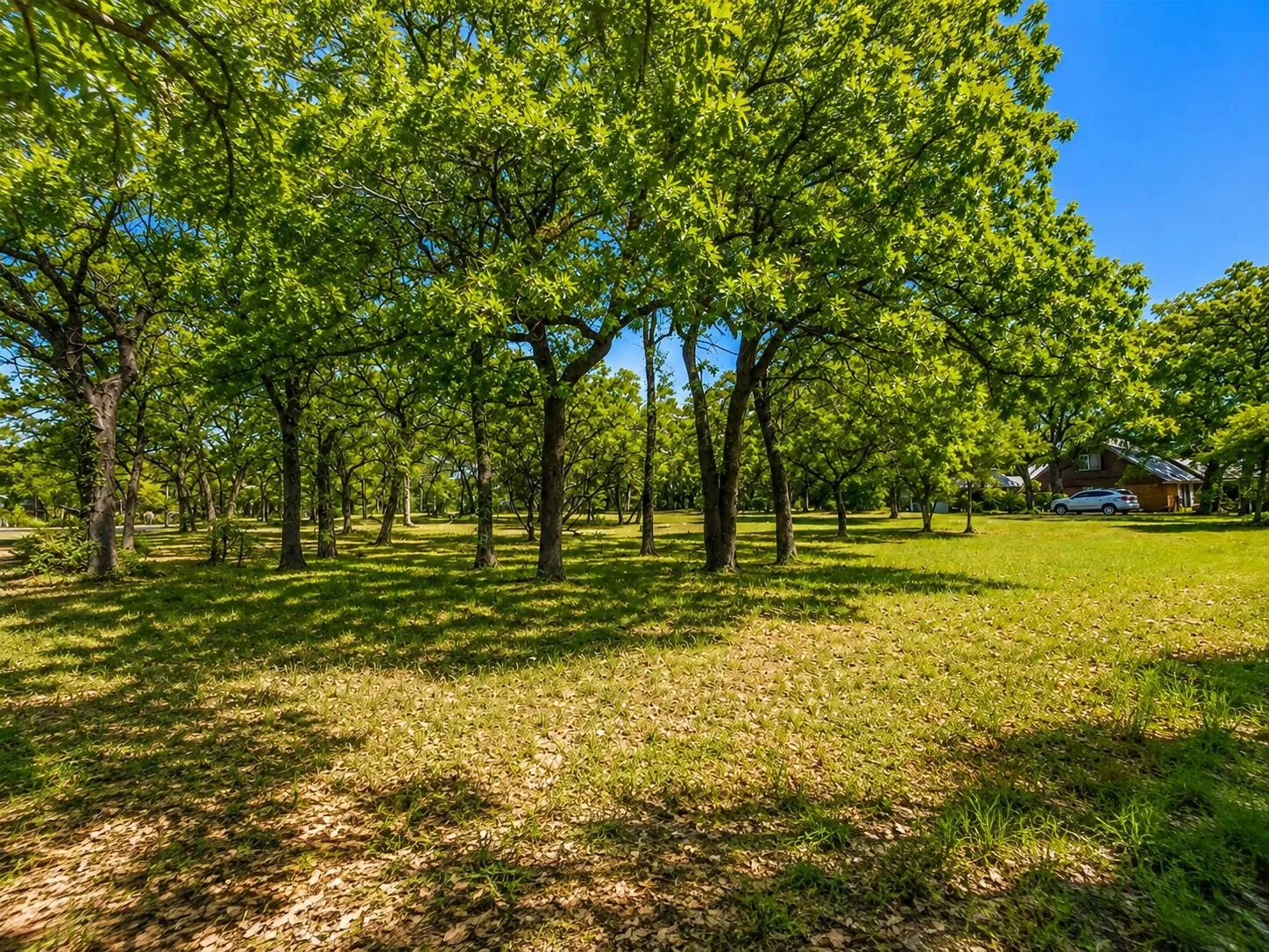 Unimproved Land For Sale