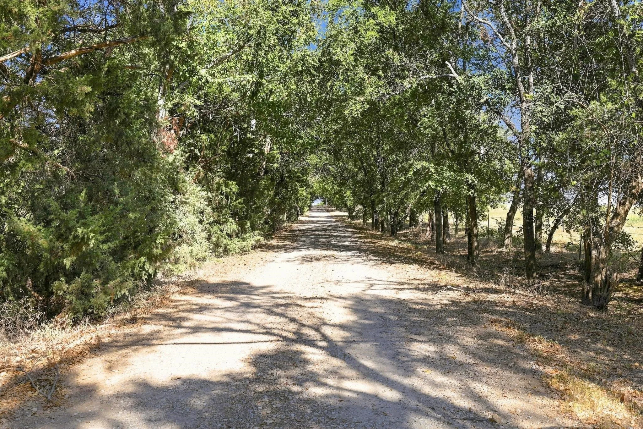 Improved Land For Sale in Fannin County , 878 County Road 2900, Dodd City, Texas 75438, 0, 0, Garage spaces, 0 Sqft, built in 1997, mls#21369064, Real Estate Agent in Dodd City, Homes For Sale in Fannin county, Homes For Sale in Dodd City, Realtor in Dodd City Texas, Real Estate Brokerage Independent Realty Texas, Luminita Cordes Realtor