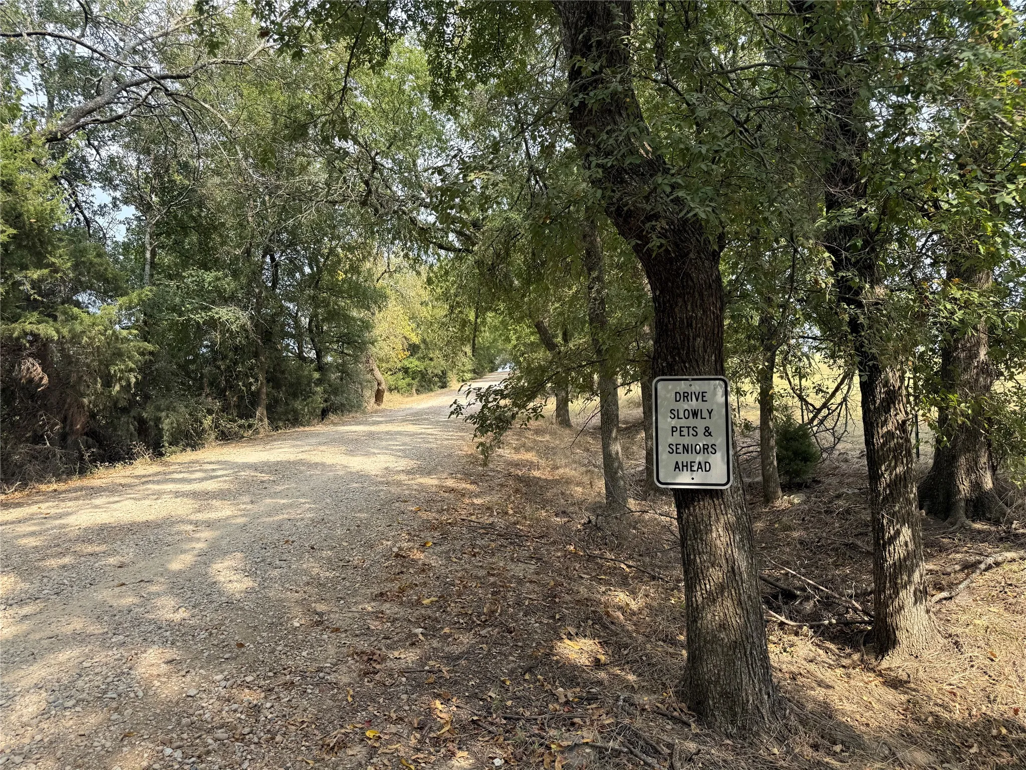 Improved Land For Sale in Fannin County , 878 County Road 2900, Dodd City, Texas 75438, 0, 0, Garage spaces, 0 Sqft, built in 1997, mls#21369064, Real Estate Agent in Dodd City, Homes For Sale in Fannin county, Homes For Sale in Dodd City, Realtor in Dodd City Texas, Real Estate Brokerage Independent Realty Texas, Luminita Cordes Realtor