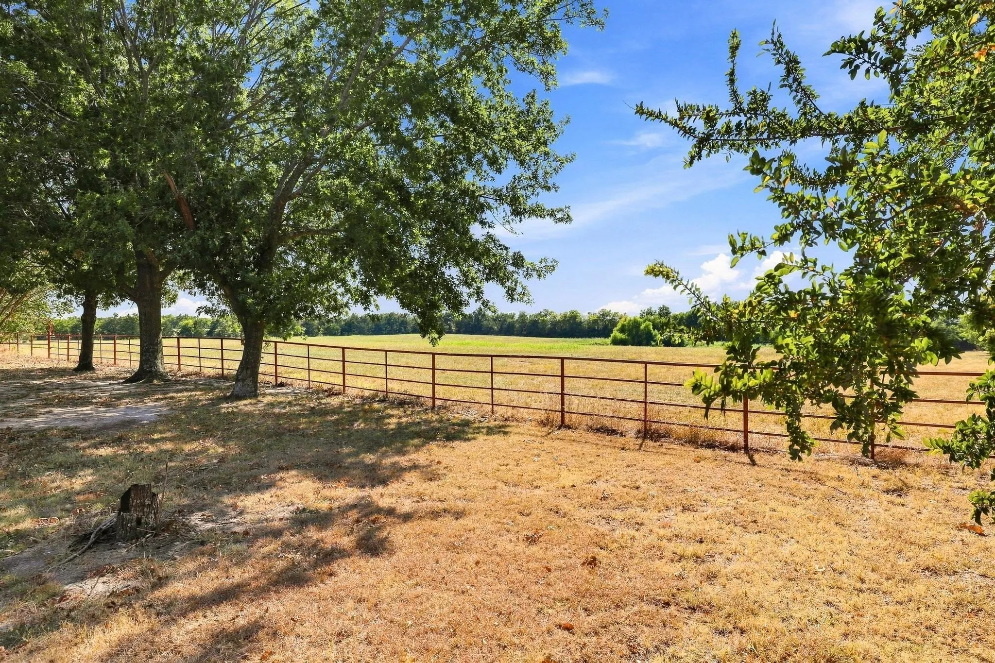 Improved Land For Sale in Fannin County , 878 County Road 2900, Dodd City, Texas 75438, 0, 0, Garage spaces, 0 Sqft, built in 1997, mls#21369064, Real Estate Agent in Dodd City, Homes For Sale in Fannin county, Homes For Sale in Dodd City, Realtor in Dodd City Texas, Real Estate Brokerage Independent Realty Texas, Luminita Cordes Realtor