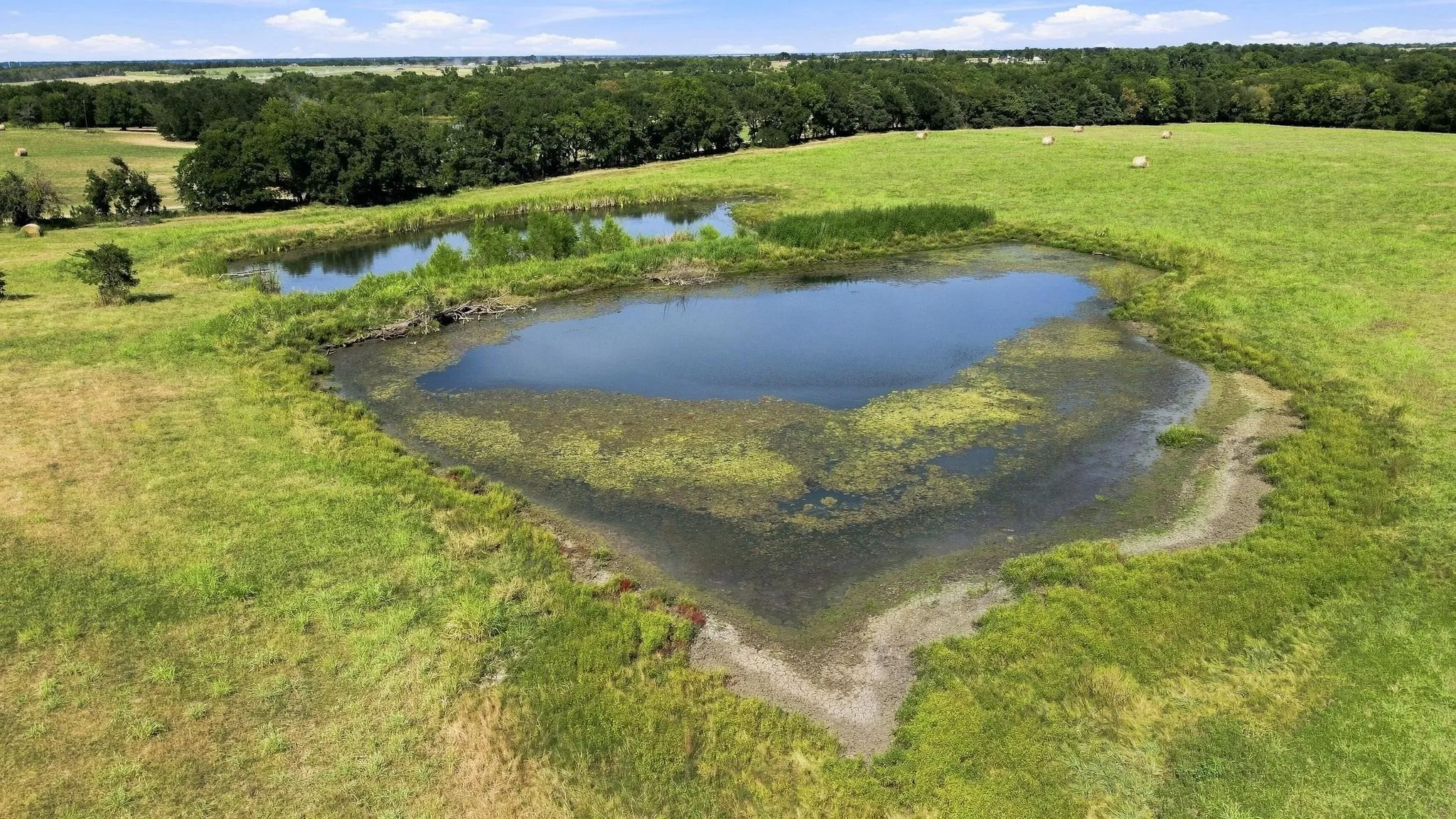 Improved Land For Sale in Fannin County , 878 County Road 2900, Dodd City, Texas 75438, 0, 0, Garage spaces, 0 Sqft, built in 1997, mls#21369064, Real Estate Agent in Dodd City, Homes For Sale in Fannin county, Homes For Sale in Dodd City, Realtor in Dodd City Texas, Real Estate Brokerage Independent Realty Texas, Luminita Cordes Realtor