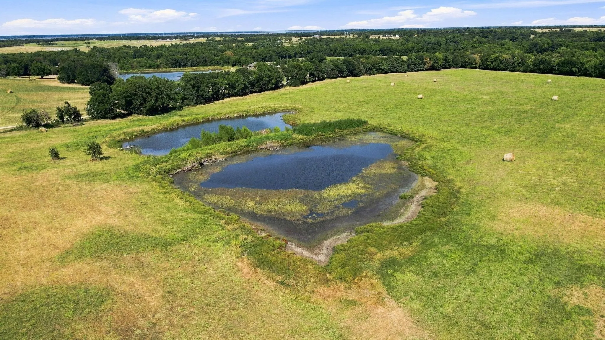 Improved Land For Sale in Fannin County , 878 County Road 2900, Dodd City, Texas 75438, 0, 0, Garage spaces, 0 Sqft, built in 1997, mls#21369064, Real Estate Agent in Dodd City, Homes For Sale in Fannin county, Homes For Sale in Dodd City, Realtor in Dodd City Texas, Real Estate Brokerage Independent Realty Texas, Luminita Cordes Realtor