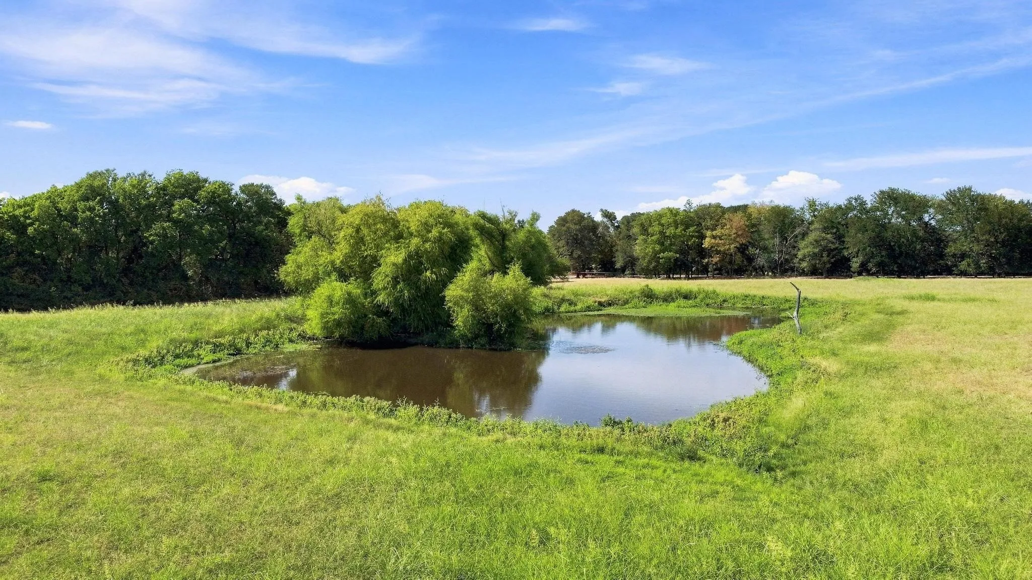 Improved Land For Sale in Fannin County , 878 County Road 2900, Dodd City, Texas 75438, 0, 0, Garage spaces, 0 Sqft, built in 1997, mls#21369064, Real Estate Agent in Dodd City, Homes For Sale in Fannin county, Homes For Sale in Dodd City, Realtor in Dodd City Texas, Real Estate Brokerage Independent Realty Texas, Luminita Cordes Realtor