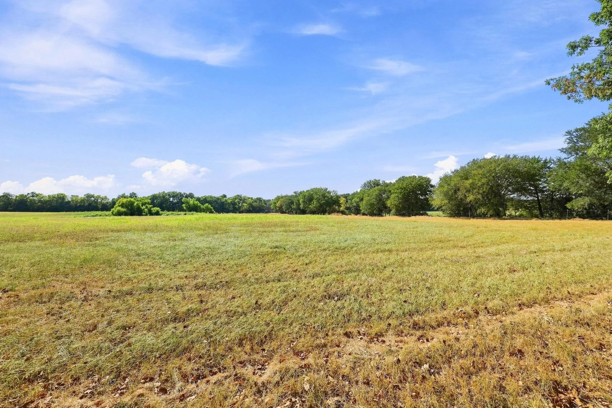 Improved Land For Sale in Fannin County , 878 County Road 2900, Dodd City, Texas 75438, 0, 0, Garage spaces, 0 Sqft, built in 1997, mls#21369064, Real Estate Agent in Dodd City, Homes For Sale in Fannin county, Homes For Sale in Dodd City, Realtor in Dodd City Texas, Real Estate Brokerage Independent Realty Texas, Luminita Cordes Realtor