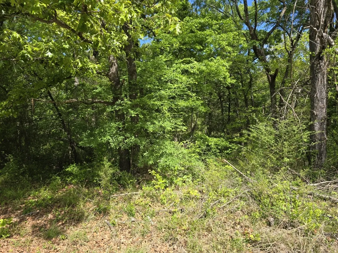 Unimproved Land For Sale in Henderson County , Lot 700 Shady Grove Road, Gun Barrel City, Texas 75156, 0, 0, Garage spaces, 0 Sqft, built in 0, mls#21369893, Real Estate Agent in Gun Barrel City, Homes For Sale in Henderson county, Homes For Sale in Gun Barrel City, Realtor in Gun Barrel City Texas, Real Estate Brokerage Independent Realty Texas, Luminita Cordes Realtor