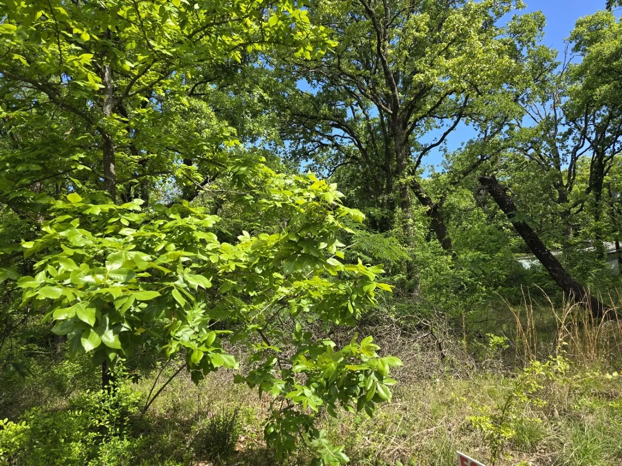 Unimproved Land For Sale in Henderson County , Lot 700 Shady Grove Road, Gun Barrel City, Texas 75156, 0, 0, Garage spaces, 0 Sqft, built in 0, mls#21369893, Real Estate Agent in Gun Barrel City, Homes For Sale in Henderson county, Homes For Sale in Gun Barrel City, Realtor in Gun Barrel City Texas, Real Estate Brokerage Independent Realty Texas, Luminita Cordes Realtor