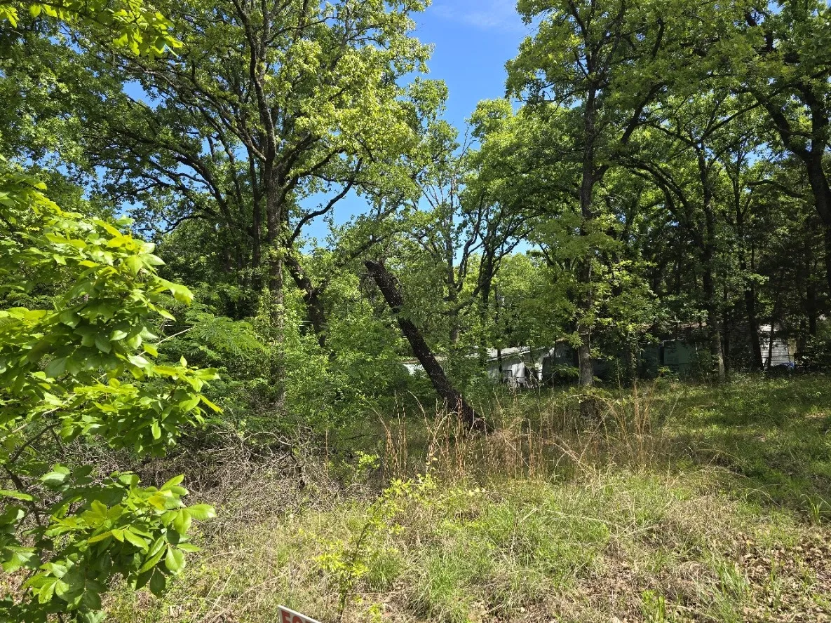 Unimproved Land For Sale in Henderson County , Lot 700 Shady Grove Road, Gun Barrel City, Texas 75156, 0, 0, Garage spaces, 0 Sqft, built in 0, mls#21369893, Real Estate Agent in Gun Barrel City, Homes For Sale in Henderson county, Homes For Sale in Gun Barrel City, Realtor in Gun Barrel City Texas, Real Estate Brokerage Independent Realty Texas, Luminita Cordes Realtor