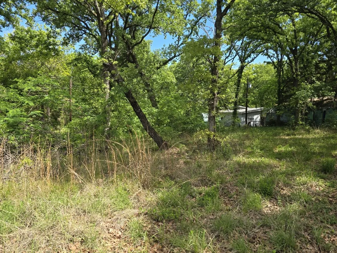 Unimproved Land For Sale in Henderson County , Lot 700 Shady Grove Road, Gun Barrel City, Texas 75156, 0, 0, Garage spaces, 0 Sqft, built in 0, mls#21369893, Real Estate Agent in Gun Barrel City, Homes For Sale in Henderson county, Homes For Sale in Gun Barrel City, Realtor in Gun Barrel City Texas, Real Estate Brokerage Independent Realty Texas, Luminita Cordes Realtor