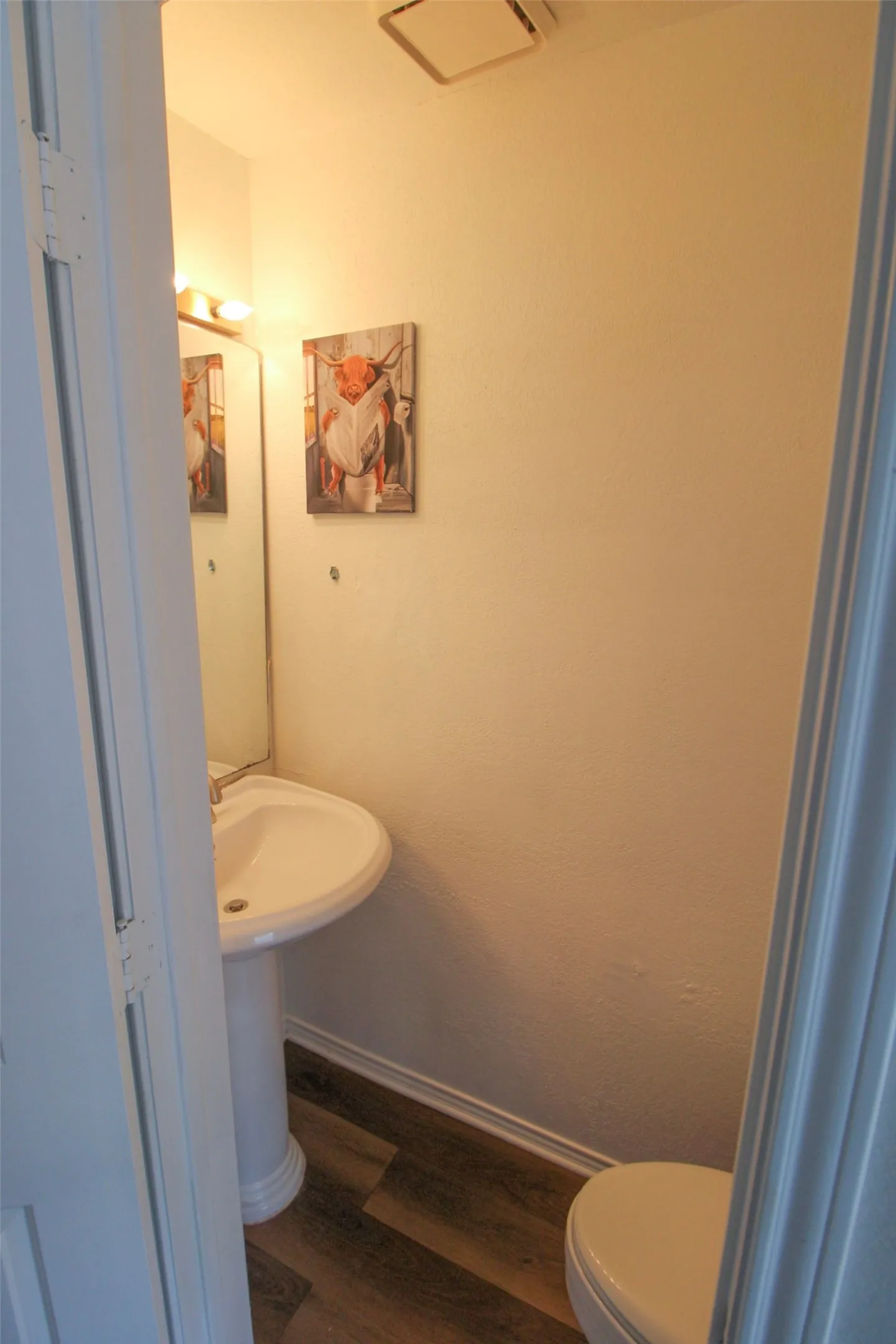Pedestal sink with a wall-mounted mirror, wood-finish flooring, and a flush-mount ceiling fixture