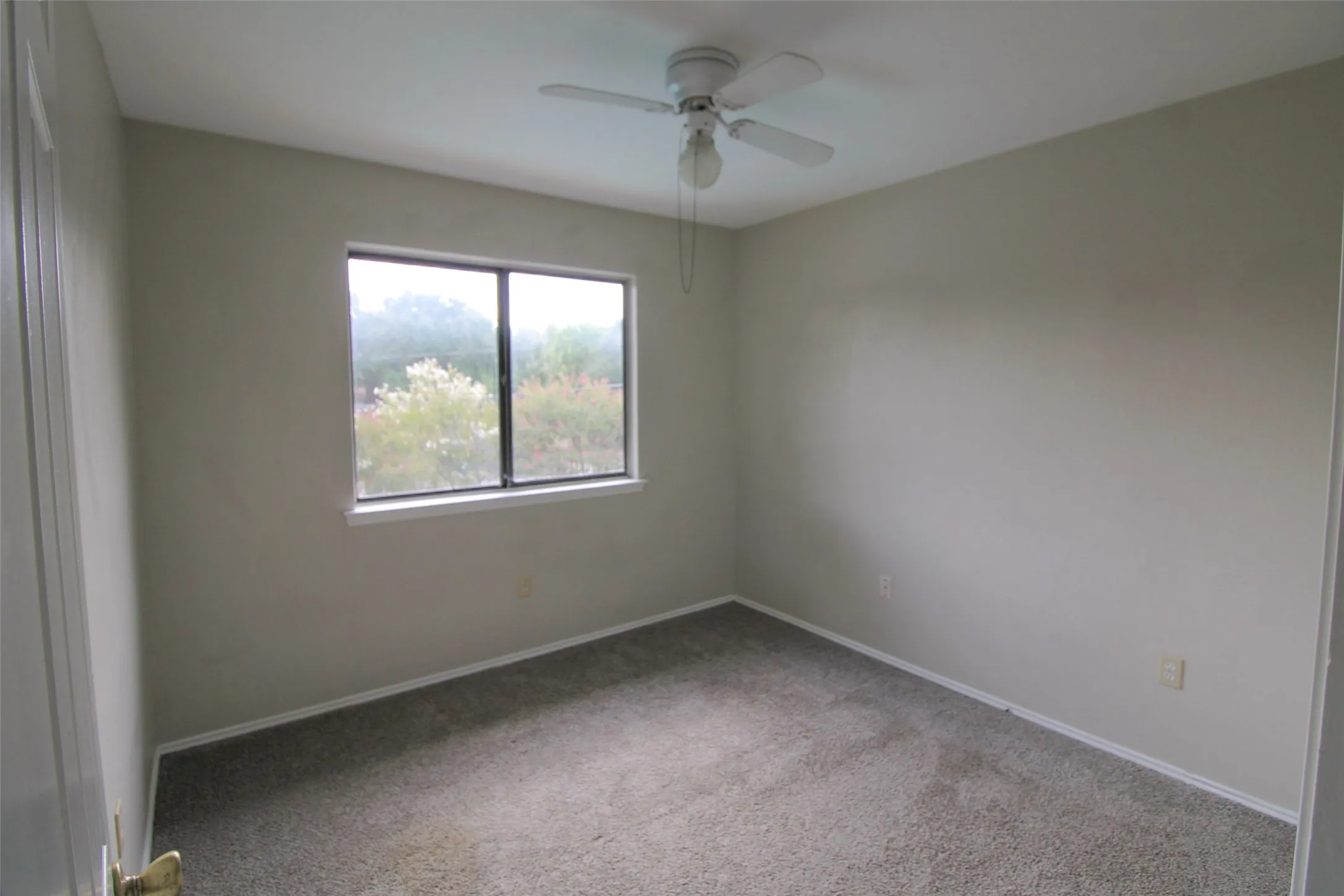 Neutral tone walls