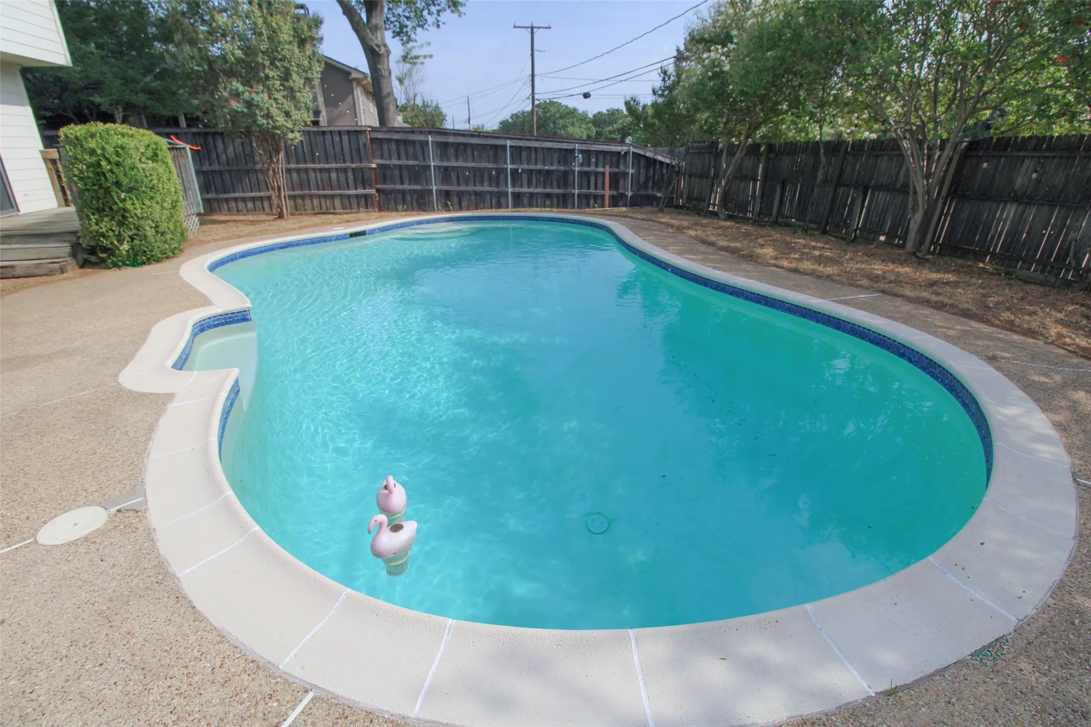 Irregularly shaped inground pool featuring a blue tile waterline, light-colored coping, and a surrounding aggregate concrete patio