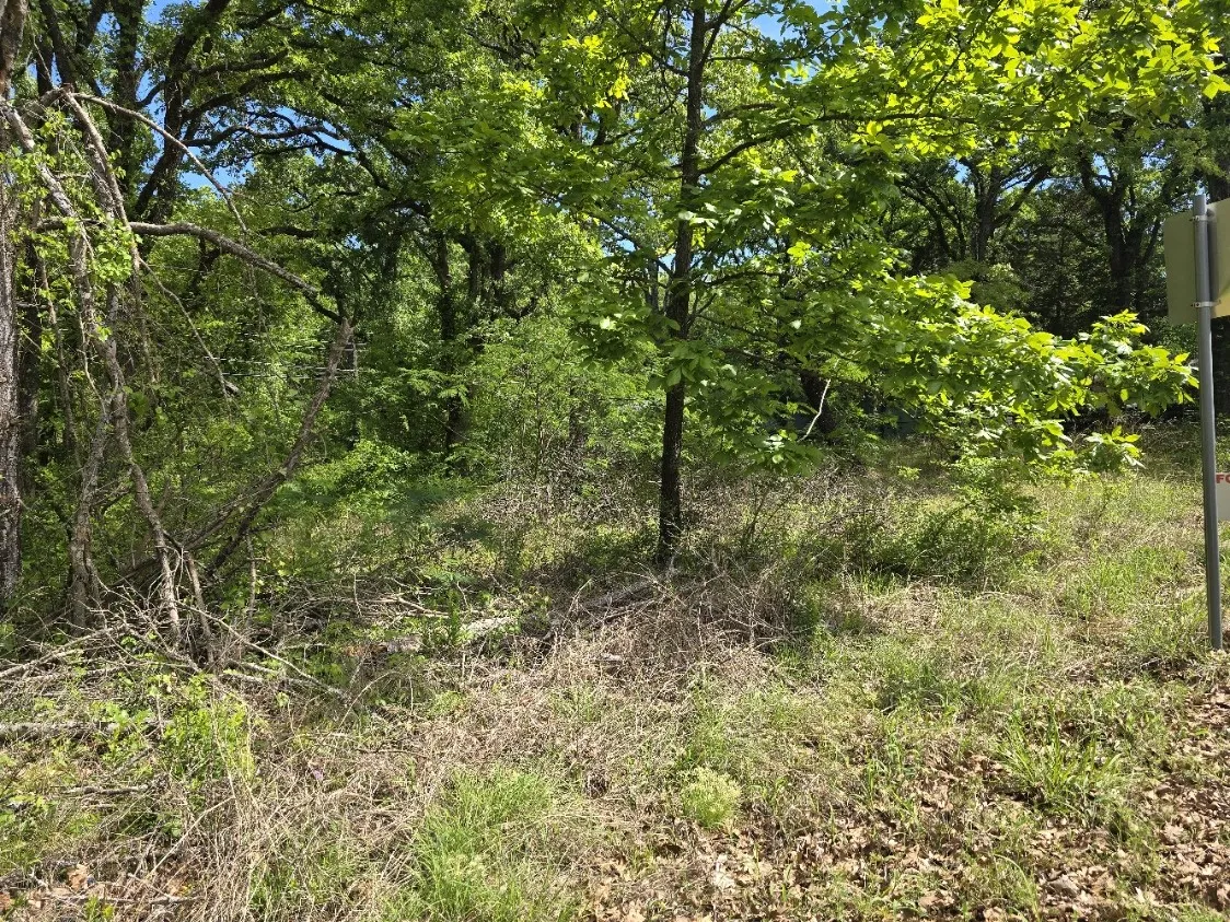Unimproved Land For Sale in Henderson County , Lot 701 Shady Grove Road, Gun Barrel City, Texas 75156, 0, 0, Garage spaces, 0 Sqft, built in 0, mls#21369929, Real Estate Agent in Gun Barrel City, Homes For Sale in Henderson county, Homes For Sale in Gun Barrel City, Realtor in Gun Barrel City Texas, Real Estate Brokerage Independent Realty Texas, Luminita Cordes Realtor
