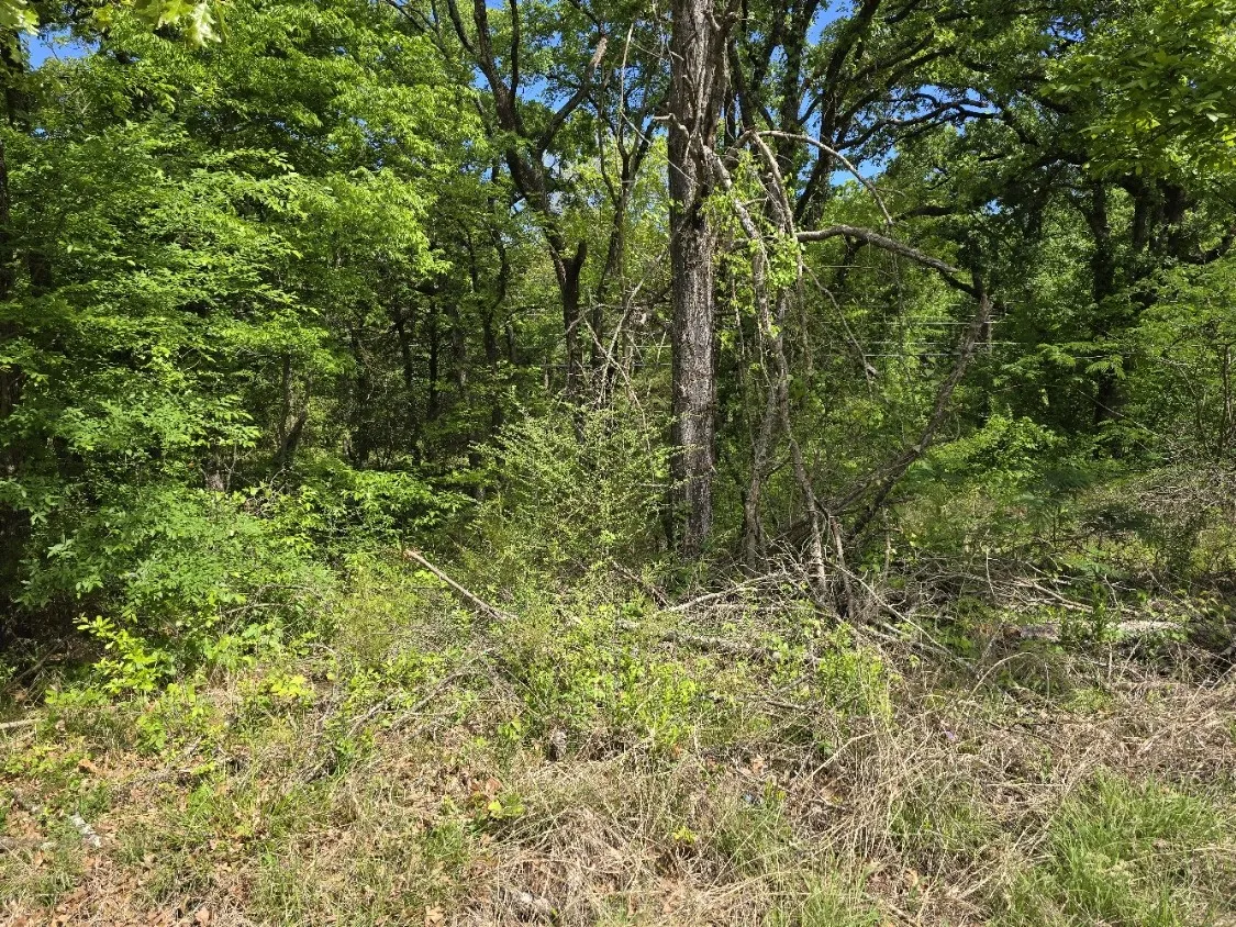 Unimproved Land For Sale in Henderson County , Lot 701 Shady Grove Road, Gun Barrel City, Texas 75156, 0, 0, Garage spaces, 0 Sqft, built in 0, mls#21369929, Real Estate Agent in Gun Barrel City, Homes For Sale in Henderson county, Homes For Sale in Gun Barrel City, Realtor in Gun Barrel City Texas, Real Estate Brokerage Independent Realty Texas, Luminita Cordes Realtor