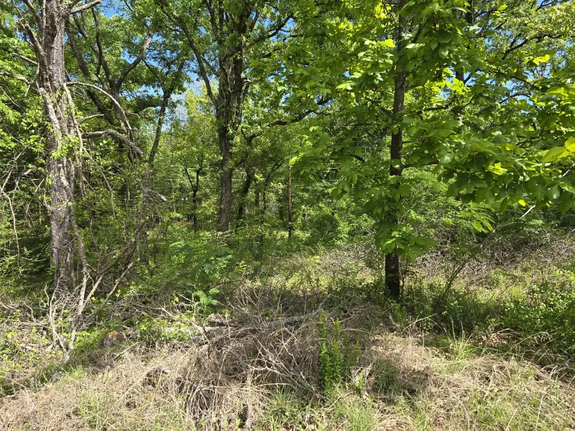Unimproved Land For Sale in Henderson County , Lot 701 Shady Grove Road, Gun Barrel City, Texas 75156, 0, 0, Garage spaces, 0 Sqft, built in 0, mls#21369929, Real Estate Agent in Gun Barrel City, Homes For Sale in Henderson county, Homes For Sale in Gun Barrel City, Realtor in Gun Barrel City Texas, Real Estate Brokerage Independent Realty Texas, Luminita Cordes Realtor
