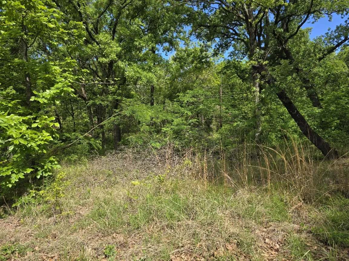 Unimproved Land For Sale in Henderson County , Lot 701 Shady Grove Road, Gun Barrel City, Texas 75156, 0, 0, Garage spaces, 0 Sqft, built in 0, mls#21369929, Real Estate Agent in Gun Barrel City, Homes For Sale in Henderson county, Homes For Sale in Gun Barrel City, Realtor in Gun Barrel City Texas, Real Estate Brokerage Independent Realty Texas, Luminita Cordes Realtor