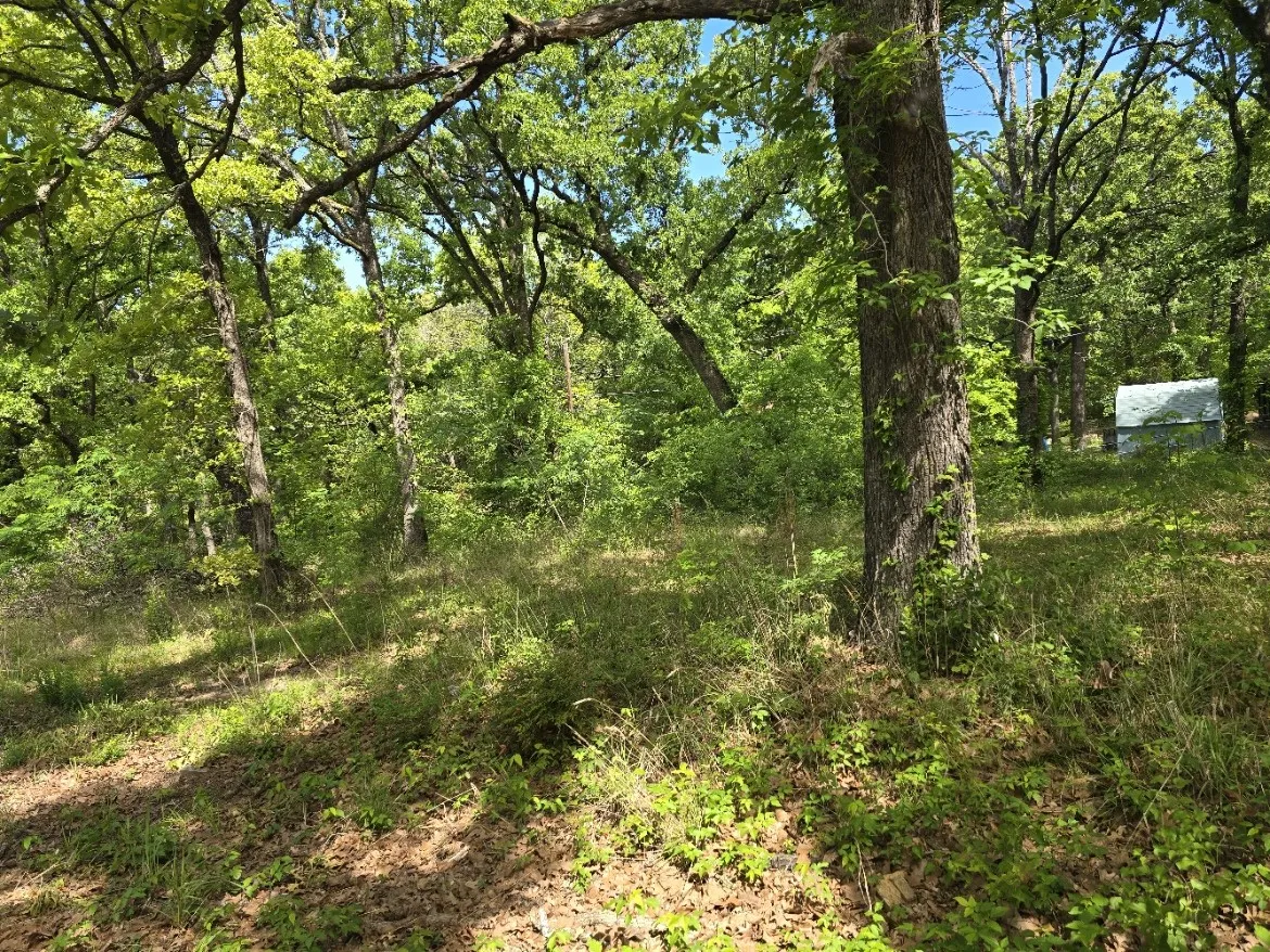 Unimproved Land For Sale in Henderson County , Lot 701 Shady Grove Road, Gun Barrel City, Texas 75156, 0, 0, Garage spaces, 0 Sqft, built in 0, mls#21369929, Real Estate Agent in Gun Barrel City, Homes For Sale in Henderson county, Homes For Sale in Gun Barrel City, Realtor in Gun Barrel City Texas, Real Estate Brokerage Independent Realty Texas, Luminita Cordes Realtor