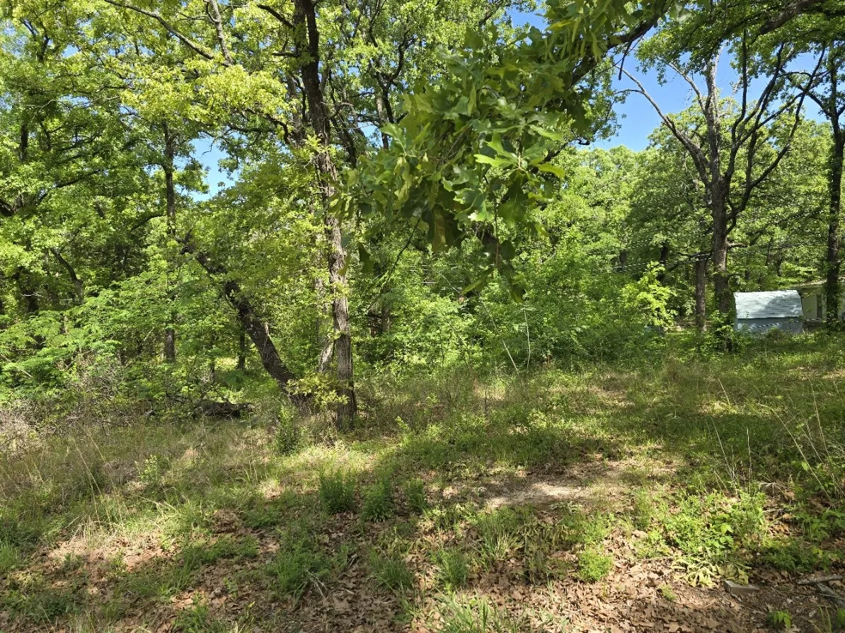 Unimproved Land For Sale in Henderson County , Lot 701 Shady Grove Road, Gun Barrel City, Texas 75156, 0, 0, Garage spaces, 0 Sqft, built in 0, mls#21369929, Real Estate Agent in Gun Barrel City, Homes For Sale in Henderson county, Homes For Sale in Gun Barrel City, Realtor in Gun Barrel City Texas, Real Estate Brokerage Independent Realty Texas, Luminita Cordes Realtor
