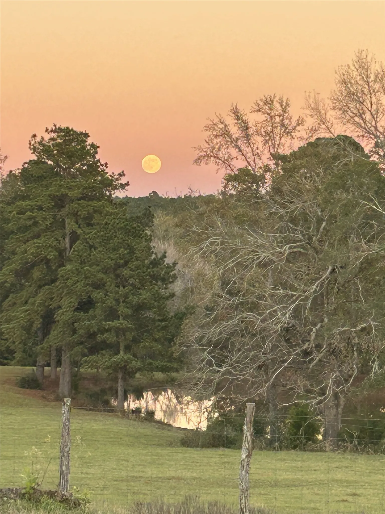 Ranch For Sale in Rusk County , 19743 S County Road 3227, Cushing, Texas 75760, 0, 0, Garage spaces, 0 Sqft, built in 0, mls#21369991, Real Estate Agent in Cushing, Homes For Sale in Rusk county, Homes For Sale in Cushing, Realtor in Cushing Texas, Real Estate Brokerage Independent Realty Texas, Luminita Cordes Realtor