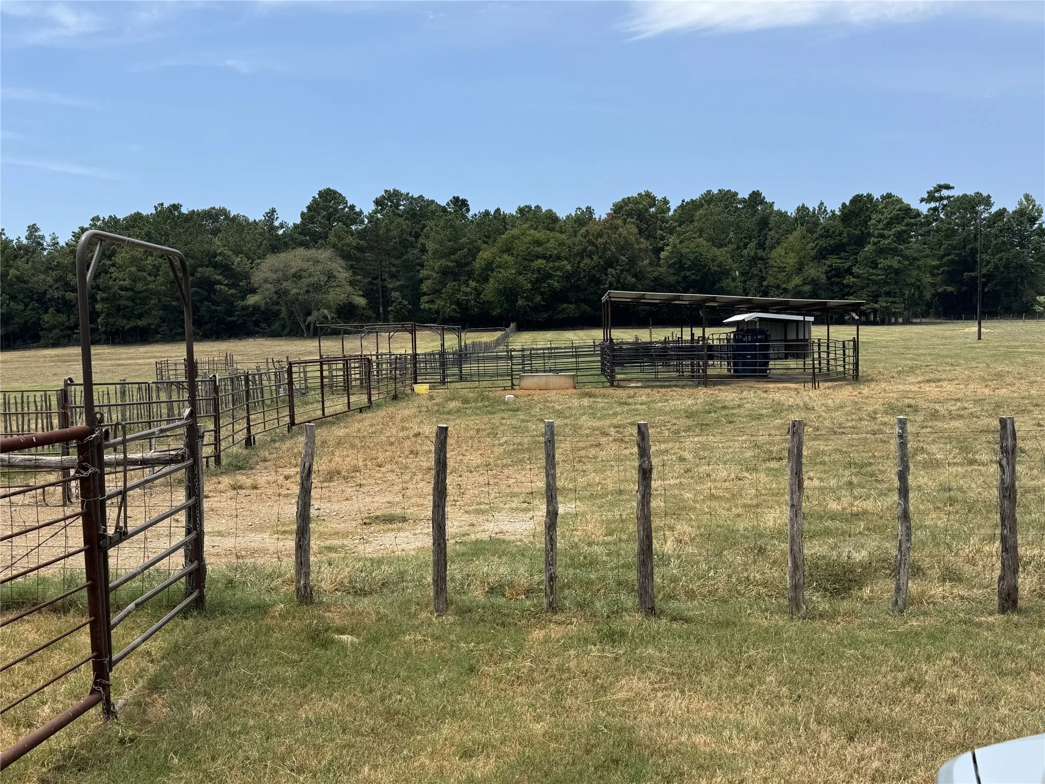 Ranch For Sale in Rusk County , 19743 S County Road 3227, Cushing, Texas 75760, 0, 0, Garage spaces, 0 Sqft, built in 0, mls#21369991, Real Estate Agent in Cushing, Homes For Sale in Rusk county, Homes For Sale in Cushing, Realtor in Cushing Texas, Real Estate Brokerage Independent Realty Texas, Luminita Cordes Realtor