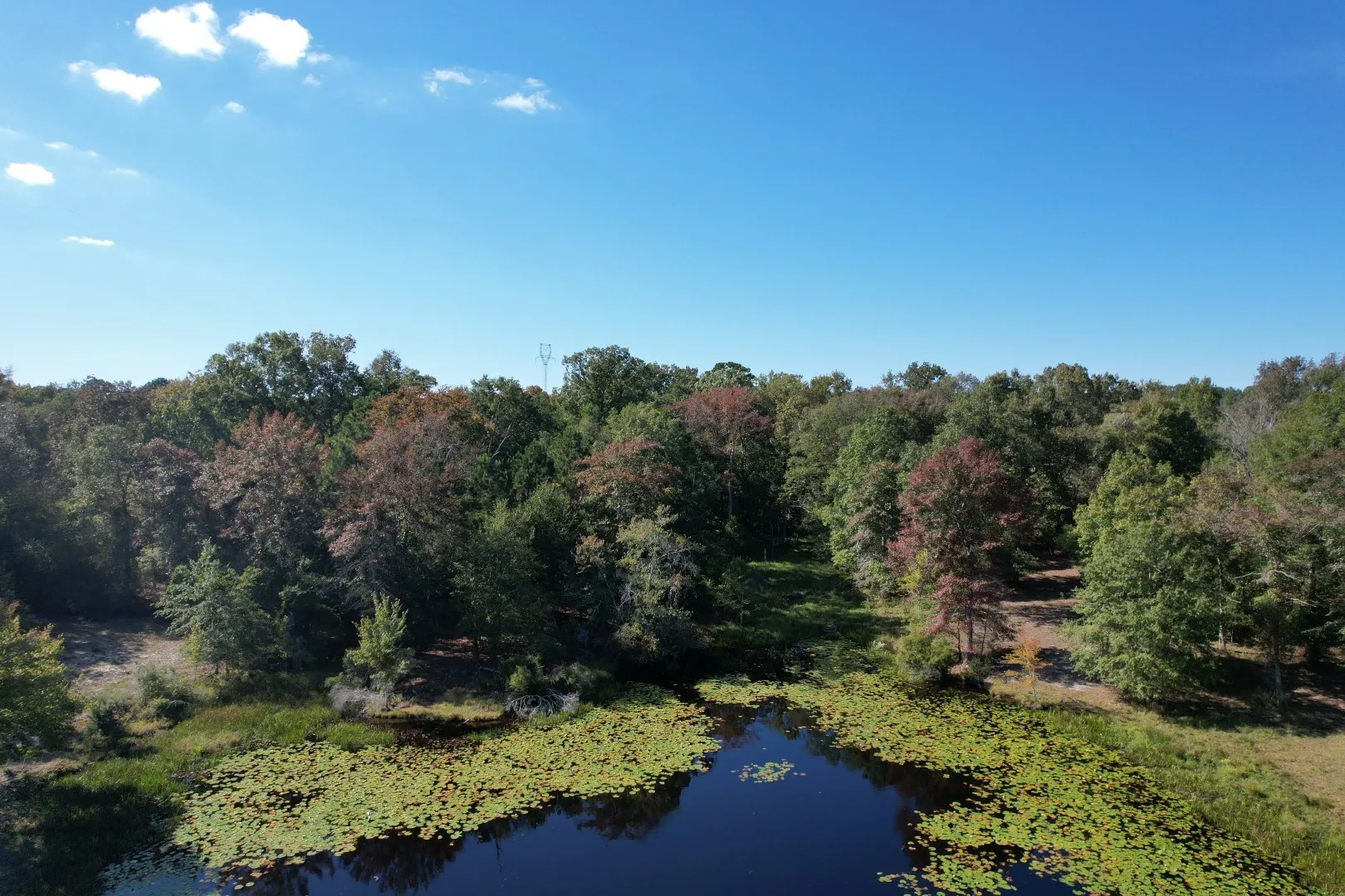 Ranch For Sale in Rusk County , 19743 S County Road 3227, Cushing, Texas 75760, 0, 0, Garage spaces, 0 Sqft, built in 0, mls#21369991, Real Estate Agent in Cushing, Homes For Sale in Rusk county, Homes For Sale in Cushing, Realtor in Cushing Texas, Real Estate Brokerage Independent Realty Texas, Luminita Cordes Realtor