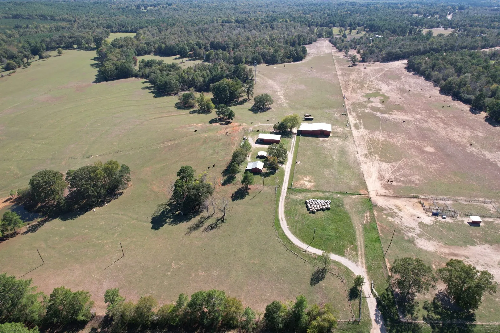 Ranch For Sale in Rusk County , 19743 S County Road 3227, Cushing, Texas 75760, 0, 0, Garage spaces, 0 Sqft, built in 0, mls#21369991, Real Estate Agent in Cushing, Homes For Sale in Rusk county, Homes For Sale in Cushing, Realtor in Cushing Texas, Real Estate Brokerage Independent Realty Texas, Luminita Cordes Realtor