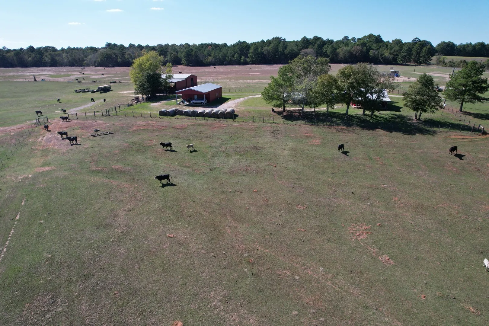 Ranch For Sale in Rusk County , 19743 S County Road 3227, Cushing, Texas 75760, 0, 0, Garage spaces, 0 Sqft, built in 0, mls#21369991, Real Estate Agent in Cushing, Homes For Sale in Rusk county, Homes For Sale in Cushing, Realtor in Cushing Texas, Real Estate Brokerage Independent Realty Texas, Luminita Cordes Realtor