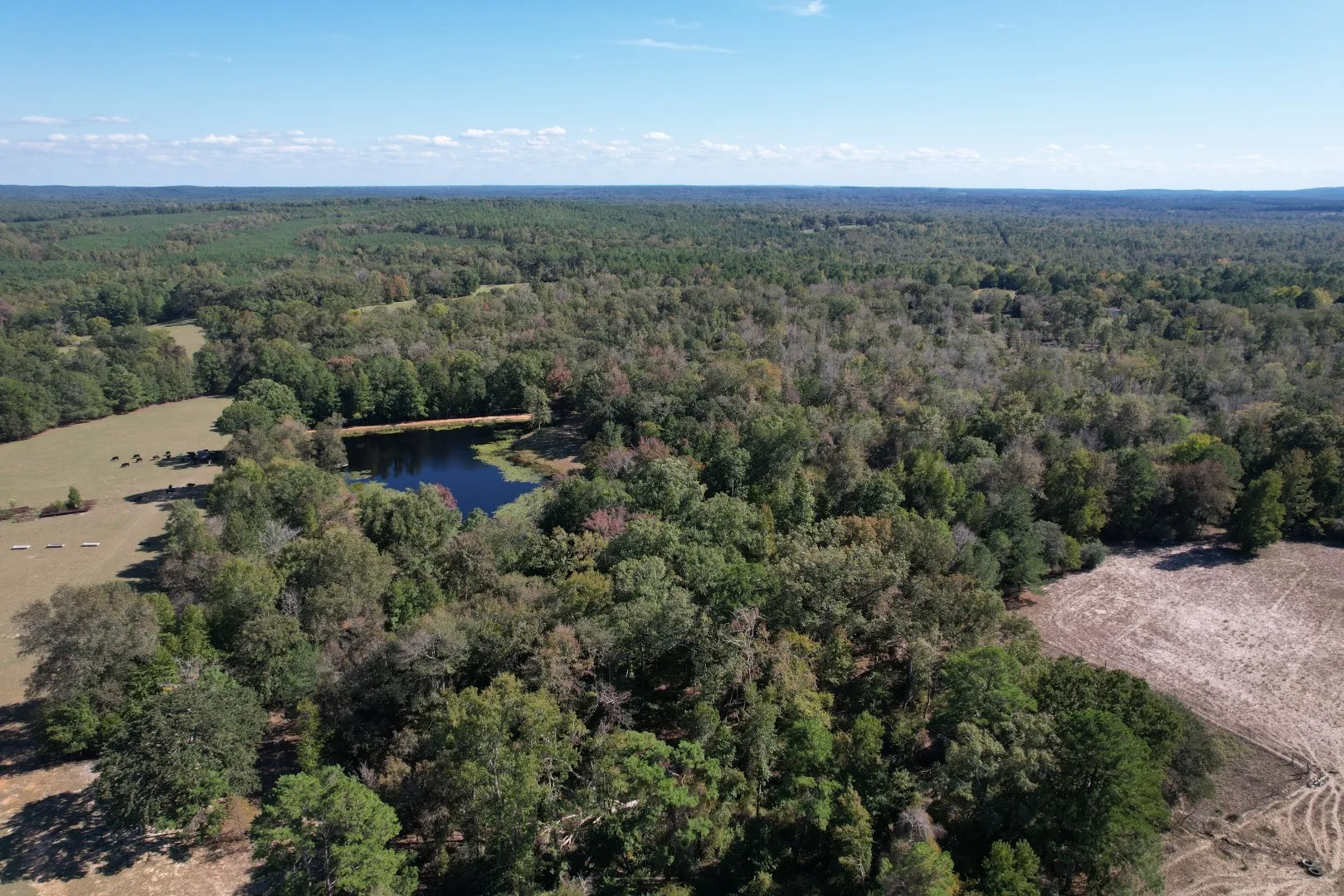 Ranch For Sale in Rusk County , 19743 S County Road 3227, Cushing, Texas 75760, 0, 0, Garage spaces, 0 Sqft, built in 0, mls#21369991, Real Estate Agent in Cushing, Homes For Sale in Rusk county, Homes For Sale in Cushing, Realtor in Cushing Texas, Real Estate Brokerage Independent Realty Texas, Luminita Cordes Realtor