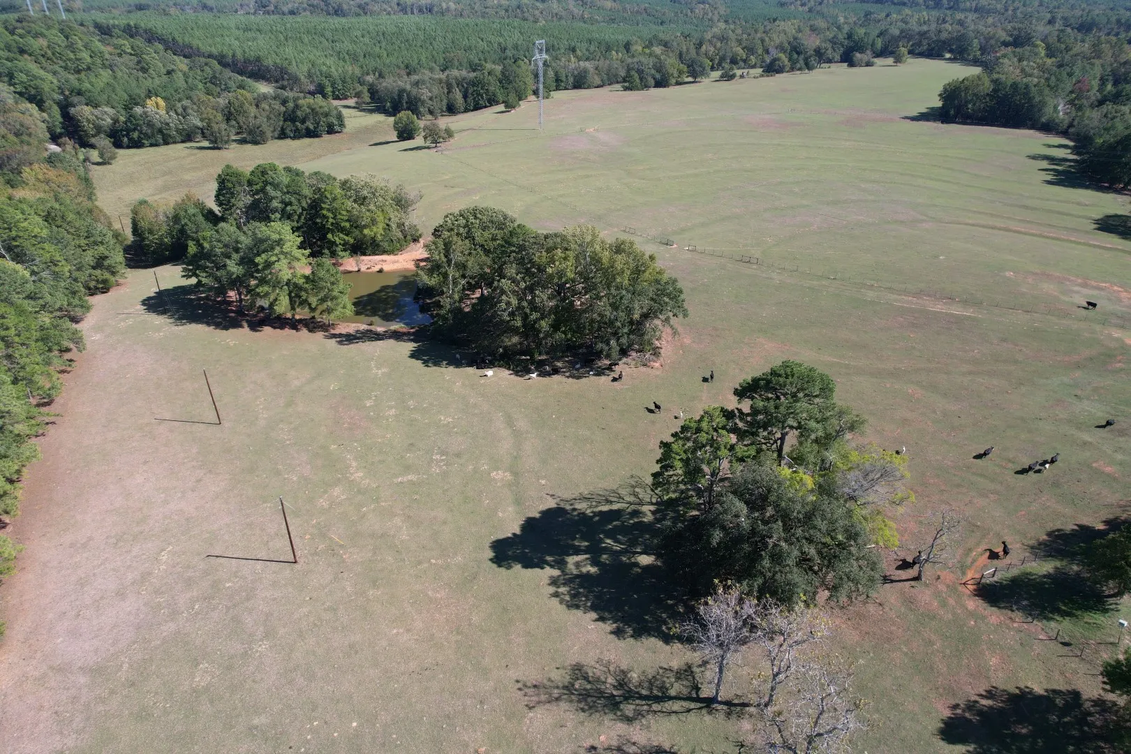 Ranch For Sale in Rusk County , 19743 S County Road 3227, Cushing, Texas 75760, 0, 0, Garage spaces, 0 Sqft, built in 0, mls#21369991, Real Estate Agent in Cushing, Homes For Sale in Rusk county, Homes For Sale in Cushing, Realtor in Cushing Texas, Real Estate Brokerage Independent Realty Texas, Luminita Cordes Realtor