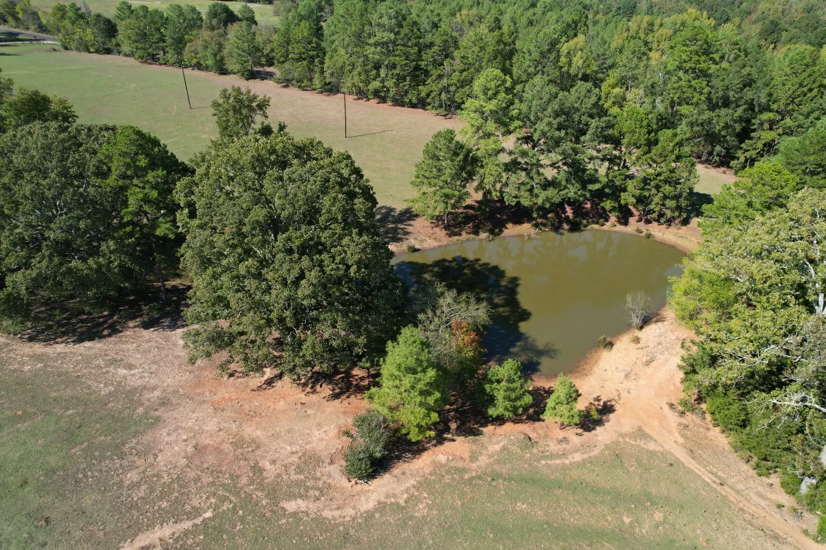 Ranch For Sale in Rusk County , 19743 S County Road 3227, Cushing, Texas 75760, 0, 0, Garage spaces, 0 Sqft, built in 0, mls#21369991, Real Estate Agent in Cushing, Homes For Sale in Rusk county, Homes For Sale in Cushing, Realtor in Cushing Texas, Real Estate Brokerage Independent Realty Texas, Luminita Cordes Realtor