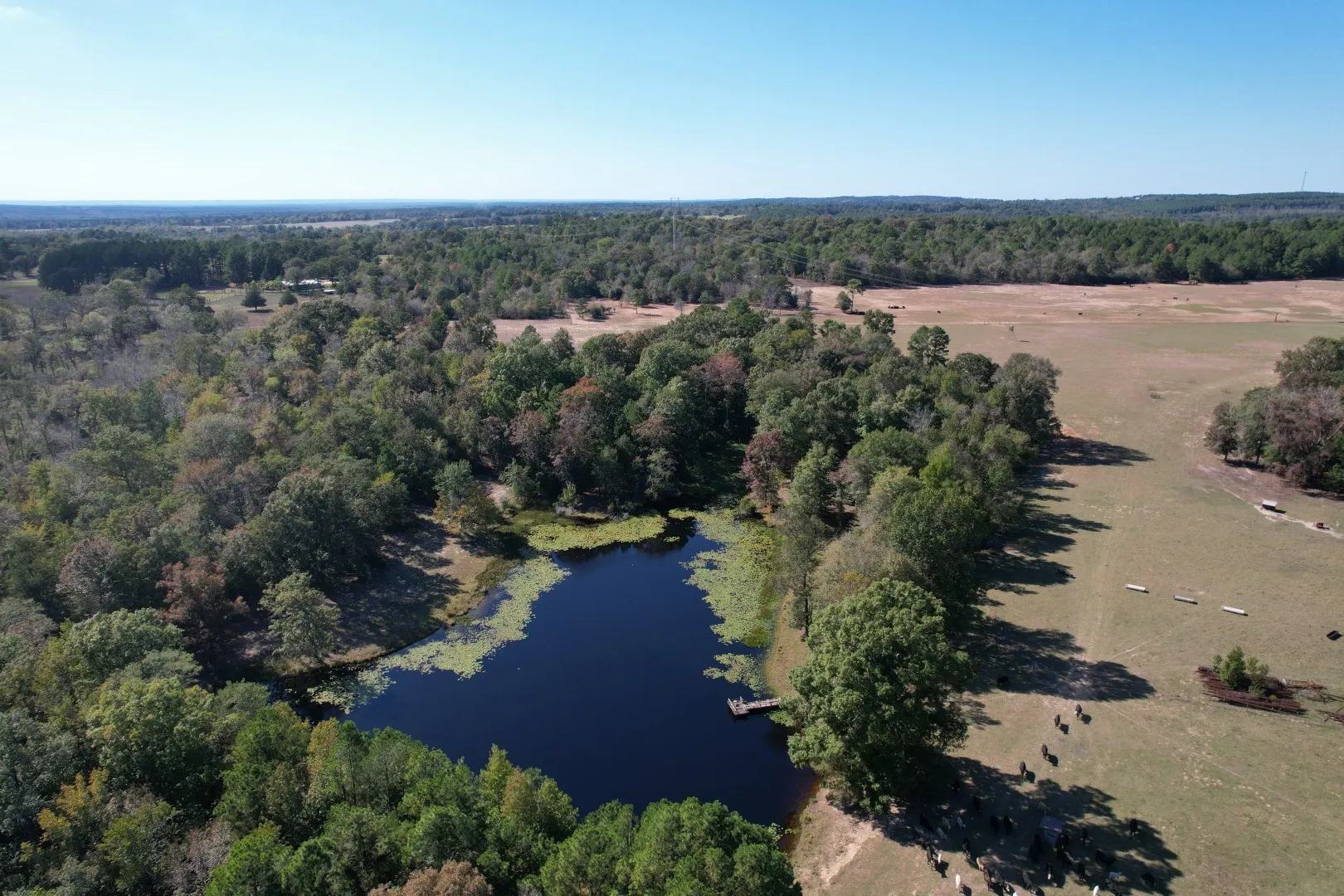 Ranch For Sale in Rusk County , 19743 S County Road 3227, Cushing, Texas 75760, 0, 0, Garage spaces, 0 Sqft, built in 0, mls#21369991, Real Estate Agent in Cushing, Homes For Sale in Rusk county, Homes For Sale in Cushing, Realtor in Cushing Texas, Real Estate Brokerage Independent Realty Texas, Luminita Cordes Realtor