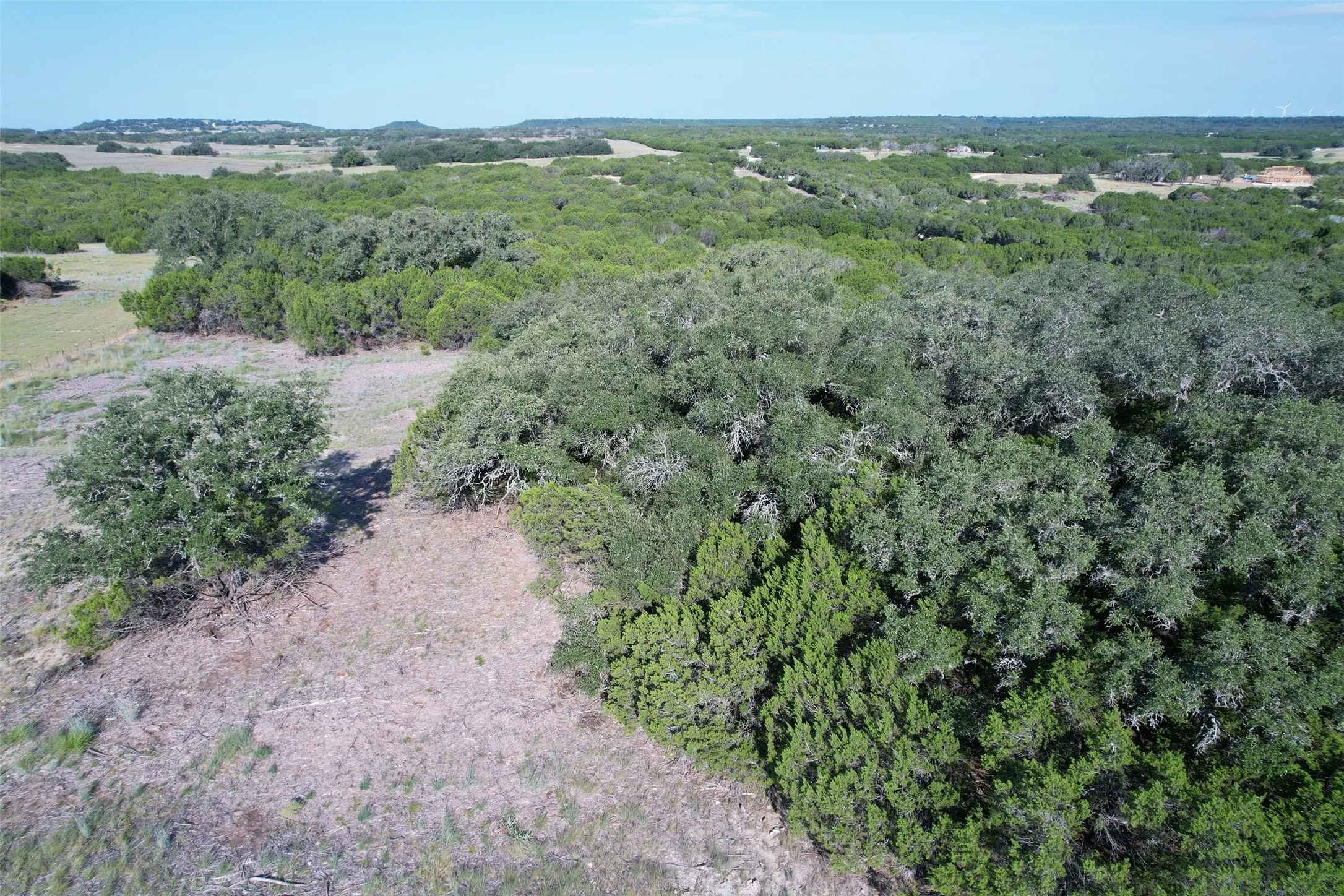 Expansive natural landscape featuring varied tree cover and open clearings, surrounded by distant rolling terrain