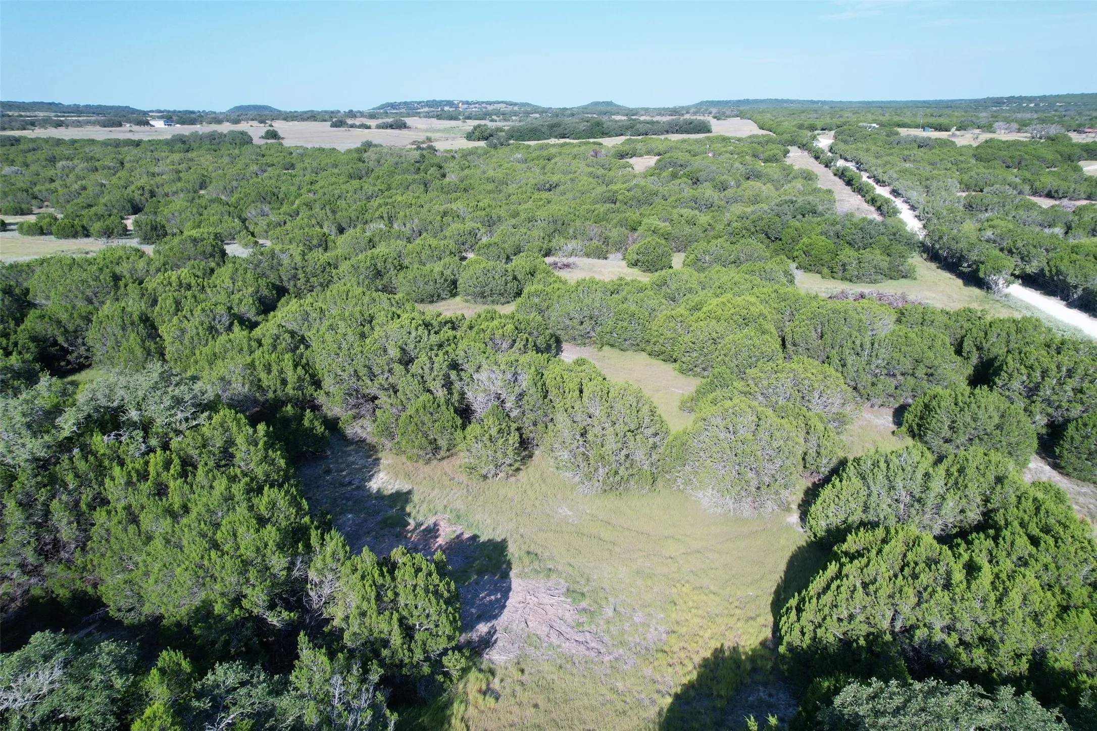 Expansive natural landscape with varied tree coverage and clear skies