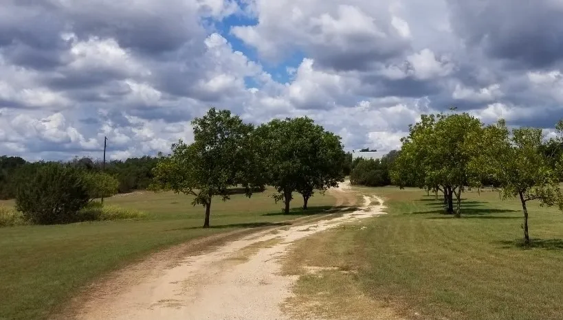 Single Family Residence For Sale in Bosque County , 355 County Road 2800, Morgan, Texas 76671, 4 Bedroom, 3 Bathroom, Garage spaces, 2,332 Sqft, built in 1988, mls#21368780, Real Estate Agent in Morgan, Homes For Sale in Bosque county, Homes For Sale in Morgan, Realtor in Morgan Texas, Real Estate Brokerage Independent Realty Texas, Luminita Cordes Realtor