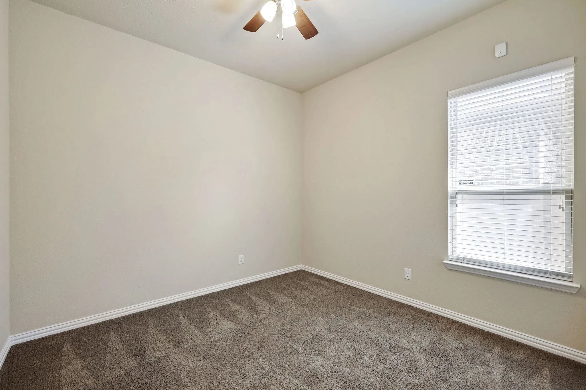Neutral-toned walls complement the textured carpet flooring