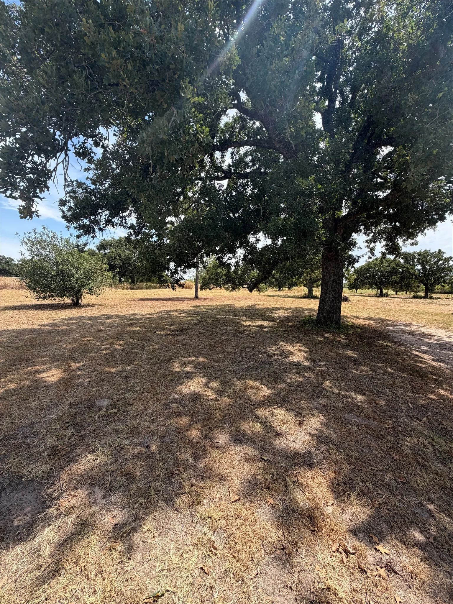 Mobile Home For Sale in Montague County , 249 Hildreth Pool Road, Bowie, Texas 76230, 3 Bedroom, 2 Bathroom, Garage spaces, 924 Sqft, built in 2021, mls#21368747, Real Estate Agent in Bowie, Homes For Sale in Montague county, Homes For Sale in Bowie, Realtor in Bowie Texas, Real Estate Brokerage Independent Realty Texas, Luminita Cordes Realtor