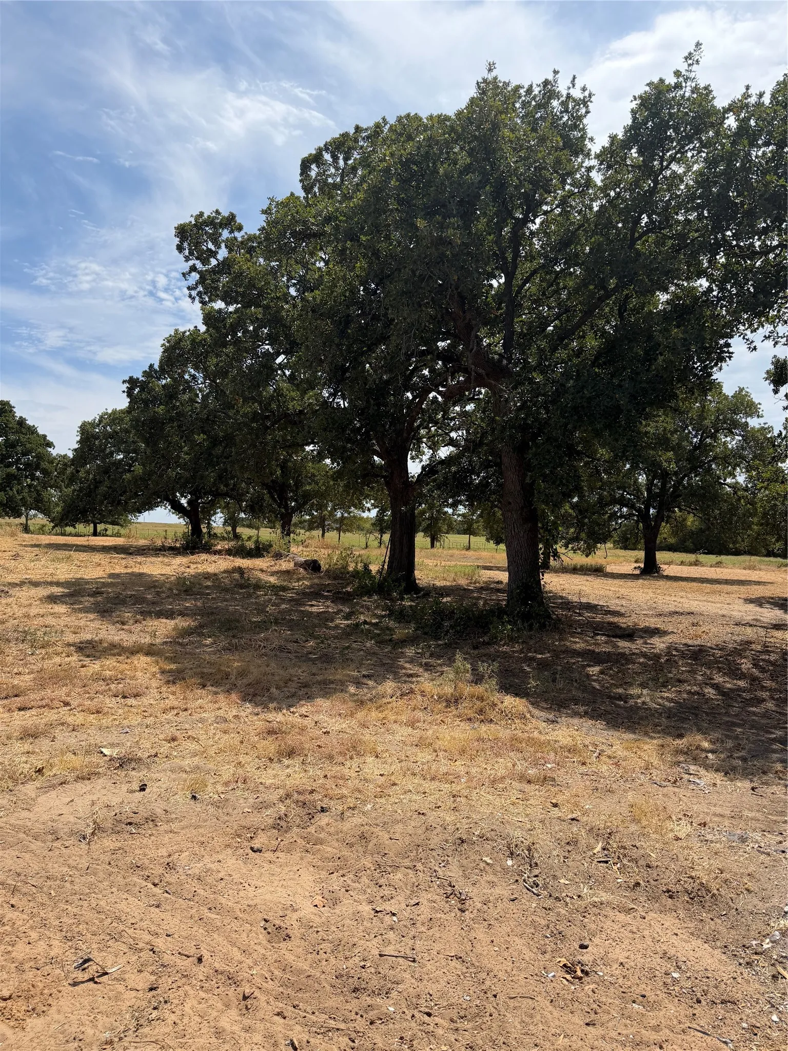 Mobile Home For Sale in Montague County , 249 Hildreth Pool Road, Bowie, Texas 76230, 3 Bedroom, 2 Bathroom, Garage spaces, 924 Sqft, built in 2021, mls#21368747, Real Estate Agent in Bowie, Homes For Sale in Montague county, Homes For Sale in Bowie, Realtor in Bowie Texas, Real Estate Brokerage Independent Realty Texas, Luminita Cordes Realtor
