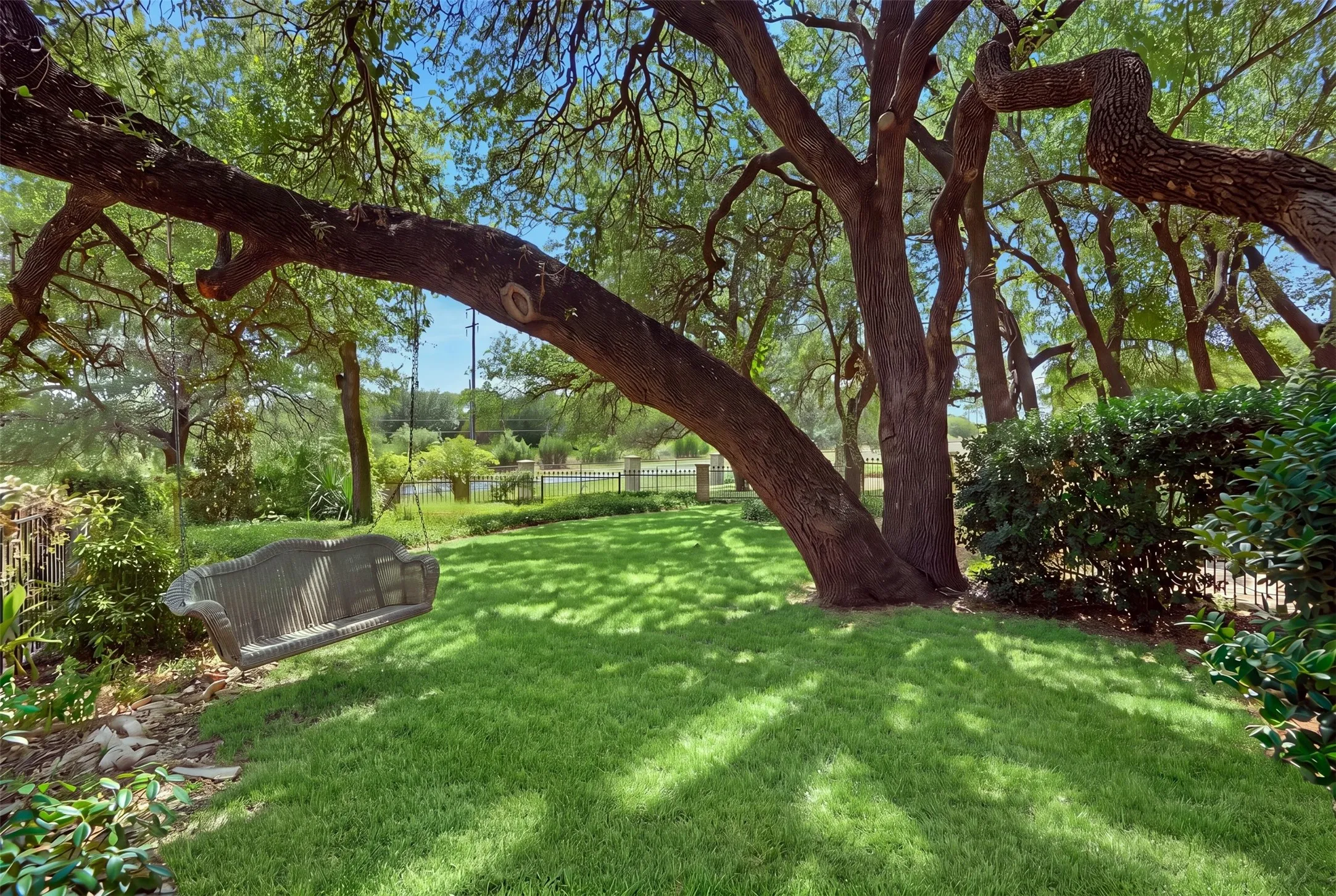 Incredible backyard with tons of shade and mature trees - feels like your own private park!