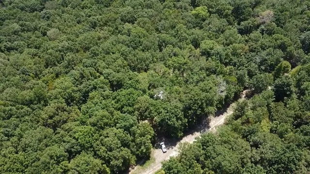 Improved Land For Sale in Red River (TX) County , 113 Triple Creek, Avery, Texas 75554, 0, 0, Garage spaces, 0 Sqft, built in 0, mls#21369030, Real Estate Agent in Avery, Homes For Sale in Red River (TX) county, Homes For Sale in Avery, Realtor in Avery Texas, Real Estate Brokerage Independent Realty Texas, Luminita Cordes Realtor