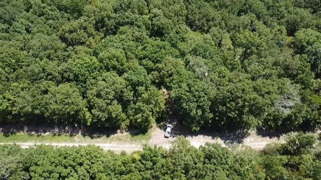 Improved Land For Sale in Red River (TX) County , 113 Triple Creek, Avery, Texas 75554, 0, 0, Garage spaces, 0 Sqft, built in 0, mls#21369030, Real Estate Agent in Avery, Homes For Sale in Red River (TX) county, Homes For Sale in Avery, Realtor in Avery Texas, Real Estate Brokerage Independent Realty Texas, Luminita Cordes Realtor