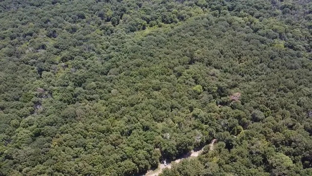 Improved Land For Sale in Red River (TX) County , 113 Triple Creek, Avery, Texas 75554, 0, 0, Garage spaces, 0 Sqft, built in 0, mls#21369030, Real Estate Agent in Avery, Homes For Sale in Red River (TX) county, Homes For Sale in Avery, Realtor in Avery Texas, Real Estate Brokerage Independent Realty Texas, Luminita Cordes Realtor